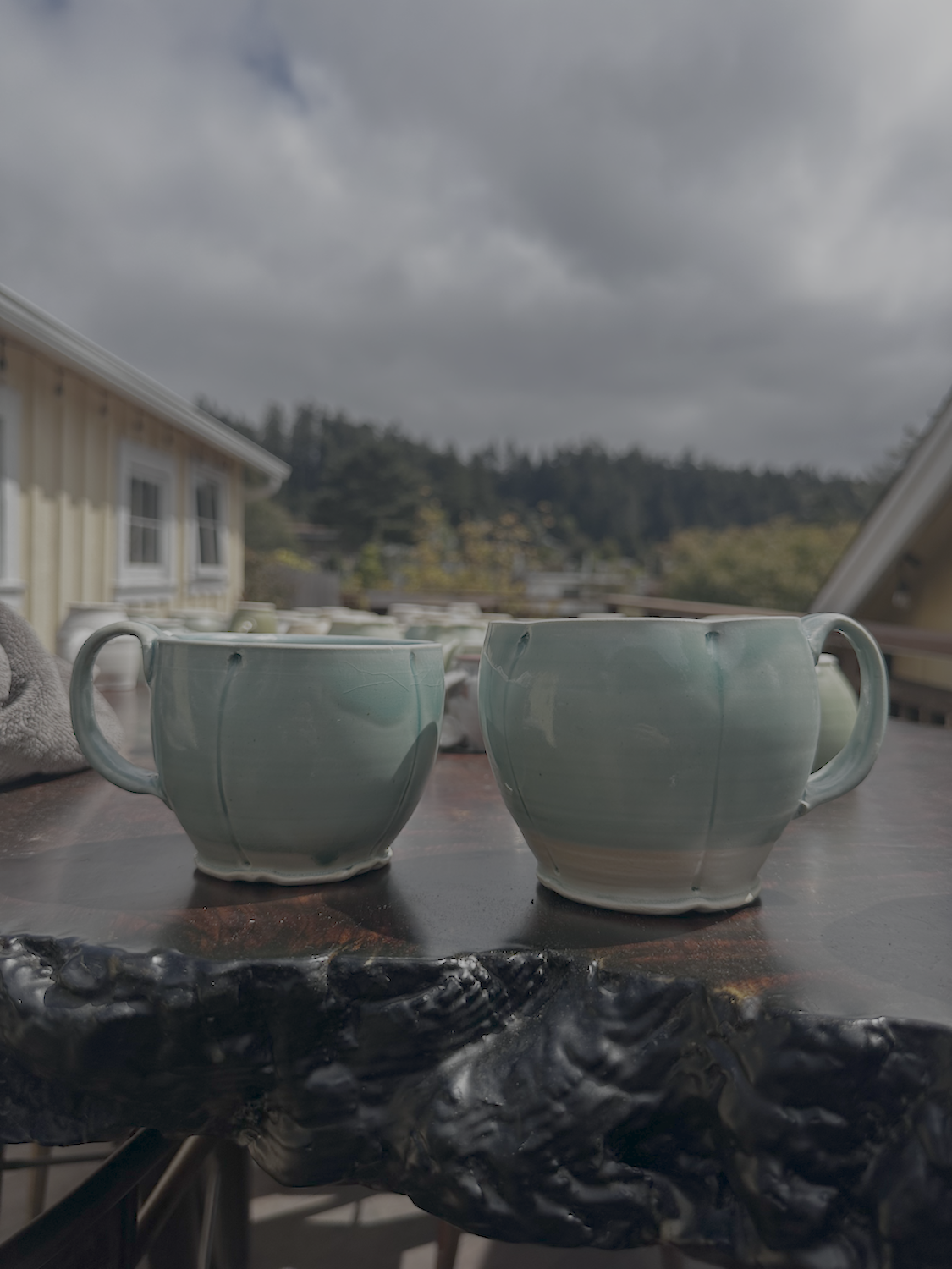 Two green ceramic cups with handles sit on a dark, textured wooden surface outdoors. The background shows a partly cloudy sky, trees, and a yellow house with white trim.