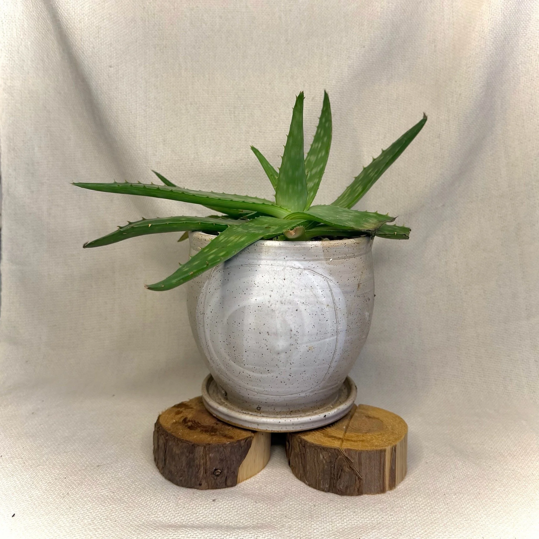 White on White Altered Planter # 127