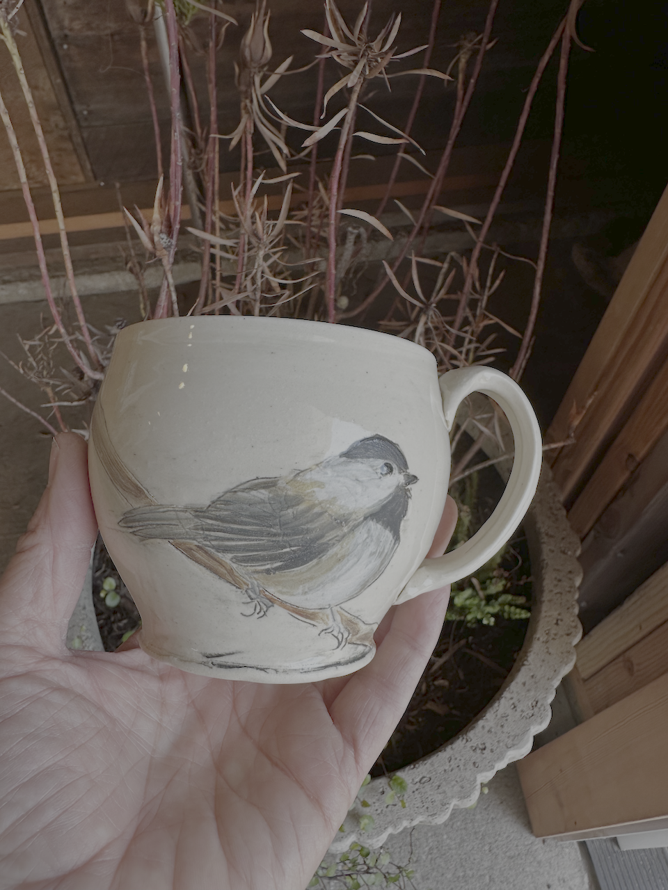 Hand holding a ceramic mug with a bird painting in front of a potted plant with reddish stalks and leaves.