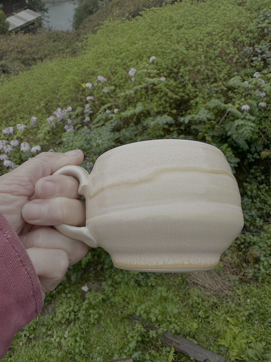 A person's hand holding a small, empty ceramic bowl with a handle, outdoors on green grass with flowering plants, and a river or lake in the background.