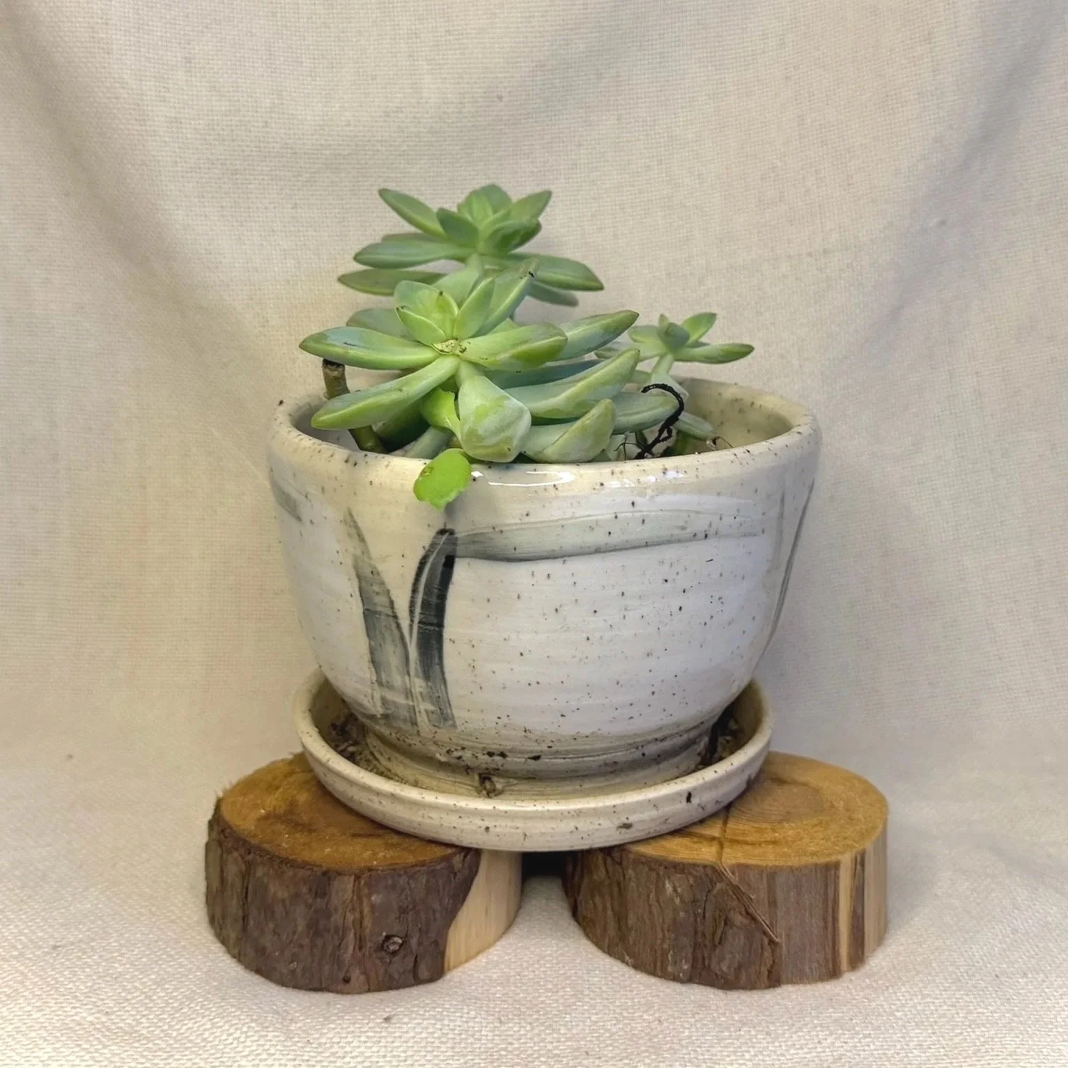 Picture Frame Planter # 130