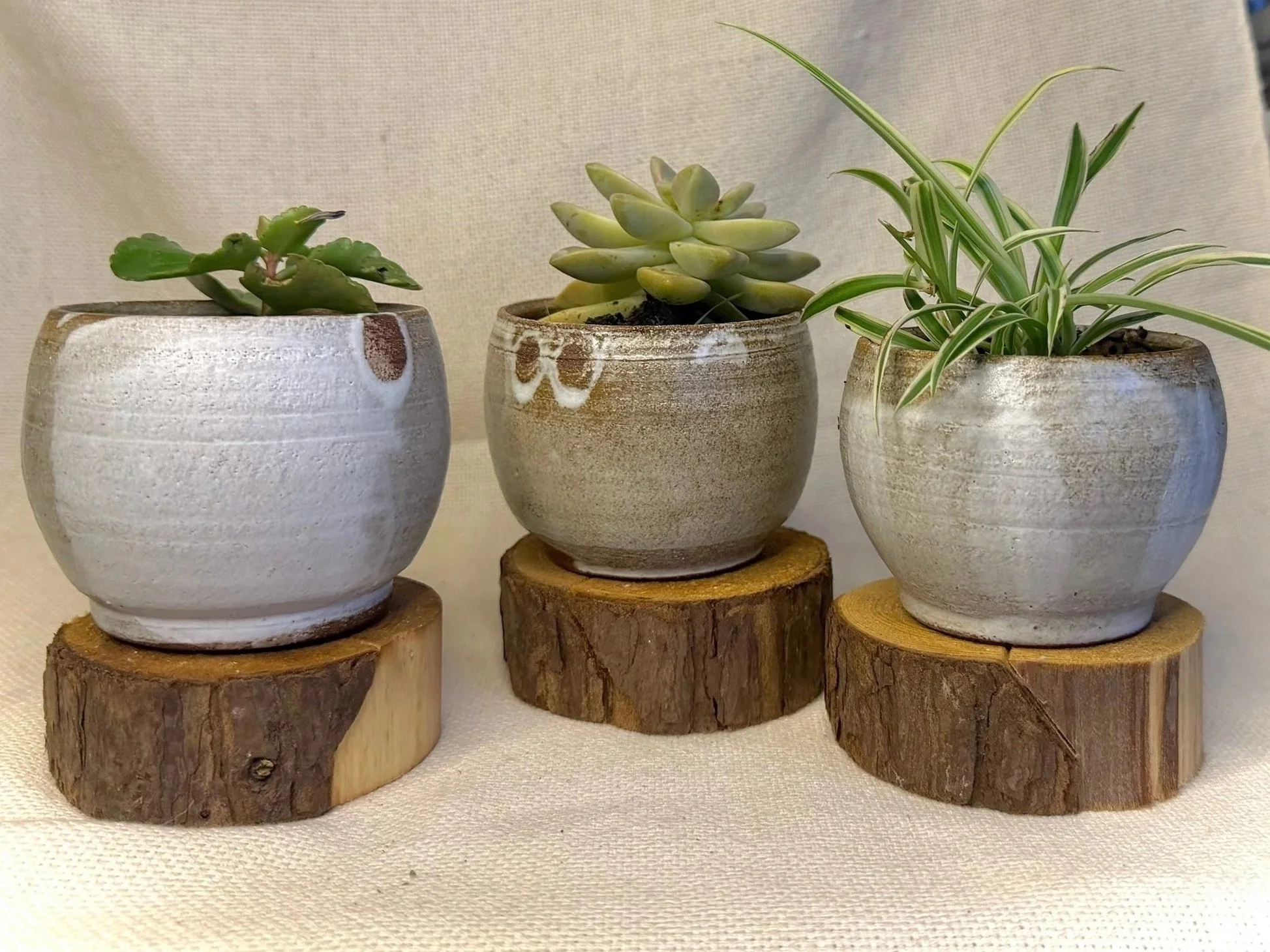 Little Planter Tryptich #132