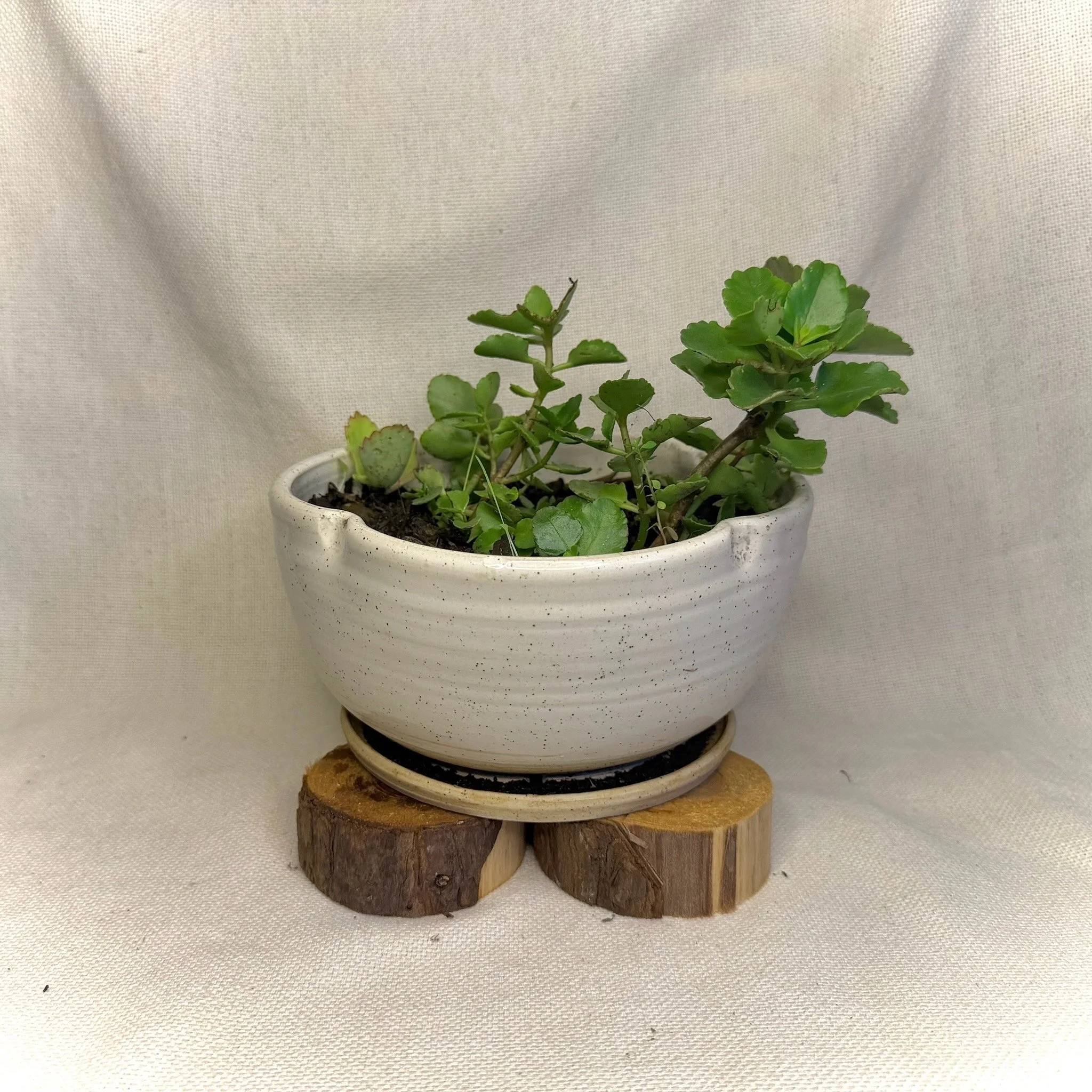 Inventory #125 (P1).jpeg