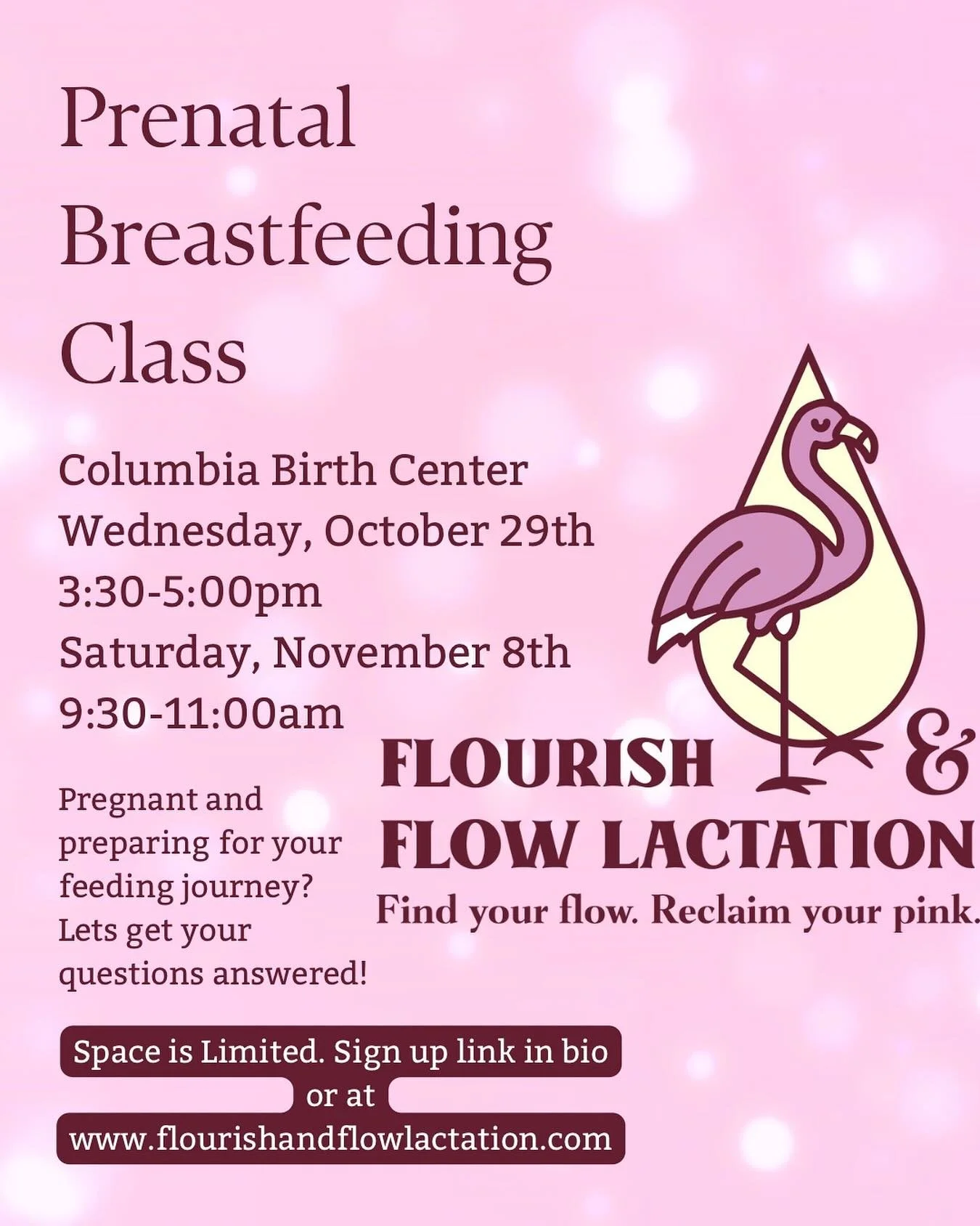 🌸 Next Prenatal Breastfeeding Class 🌸  Wednesday 10/29 @ 3:30 PM
Learn latch, positioning, what&rsquo;s normal (and what&rsquo;s not), plus real-life tips for those first weeks.

👥 Partners welcome and encouraged to come!
💳 $95 per person (includ
