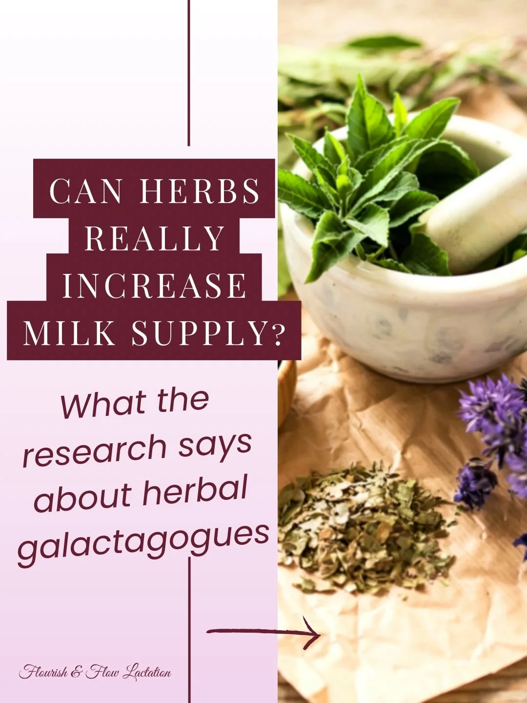 🌿 Do herbal galactagogues actually increase milk supply?

A recent systematic review published in the European Journal of Clinical Nutrition looked at clinical trials on herbal supplements used to support lactation. While many herbs are commonly rec