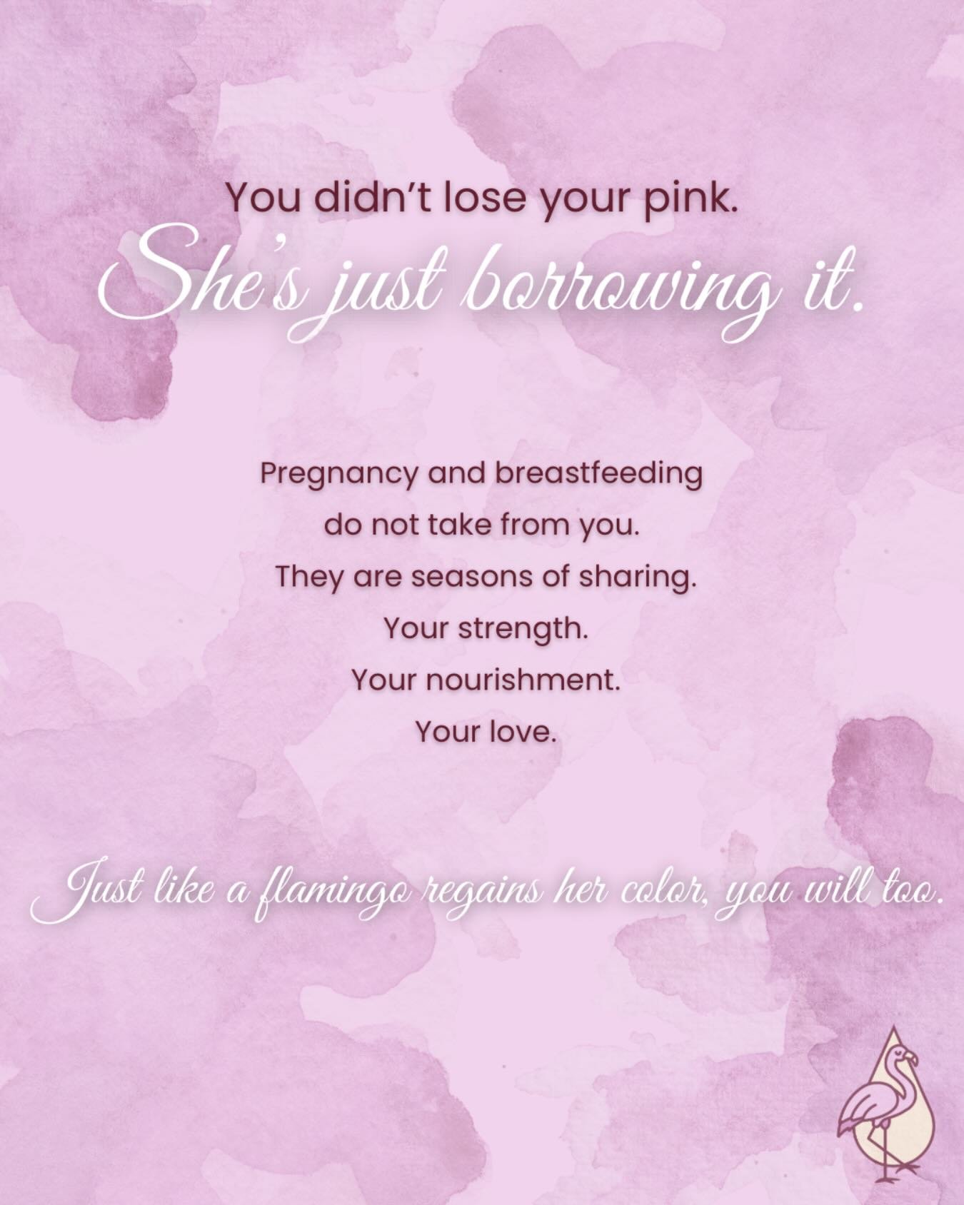 Sometimes we talk about &ldquo;getting your pink back.&rdquo; 🦩

The sleep.
The confidence.
The parts of you that feel different after pregnancy and postpartum.

But when I saw some beautiful artwork by Morgan Ellis (@marriage.and.mischief), it gave