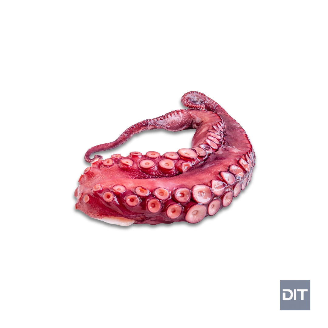 Cooked & Cut Octopus – (Octopus cyanea)