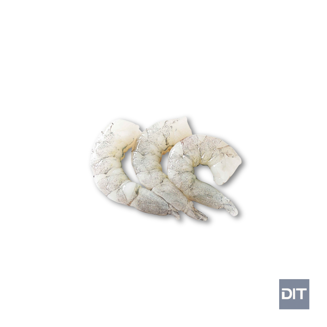 RAW PUD Vannamei TAIL OFF – (Litopenaeus vannamei)