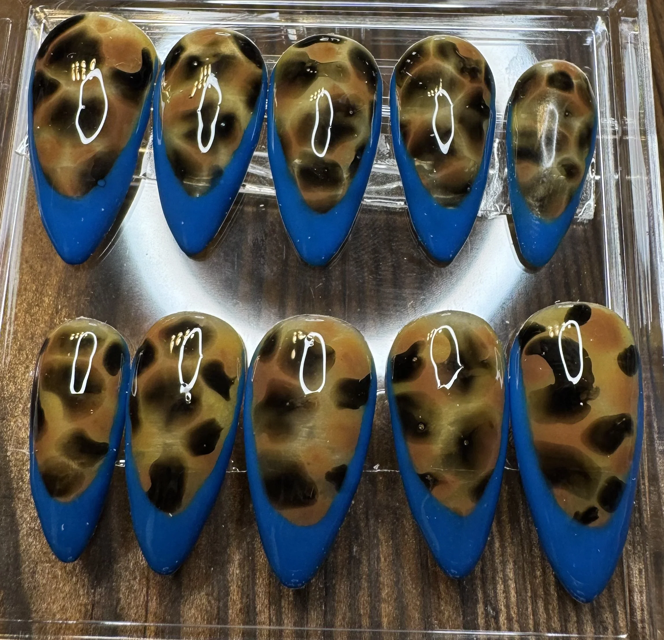 cobalt tortoise