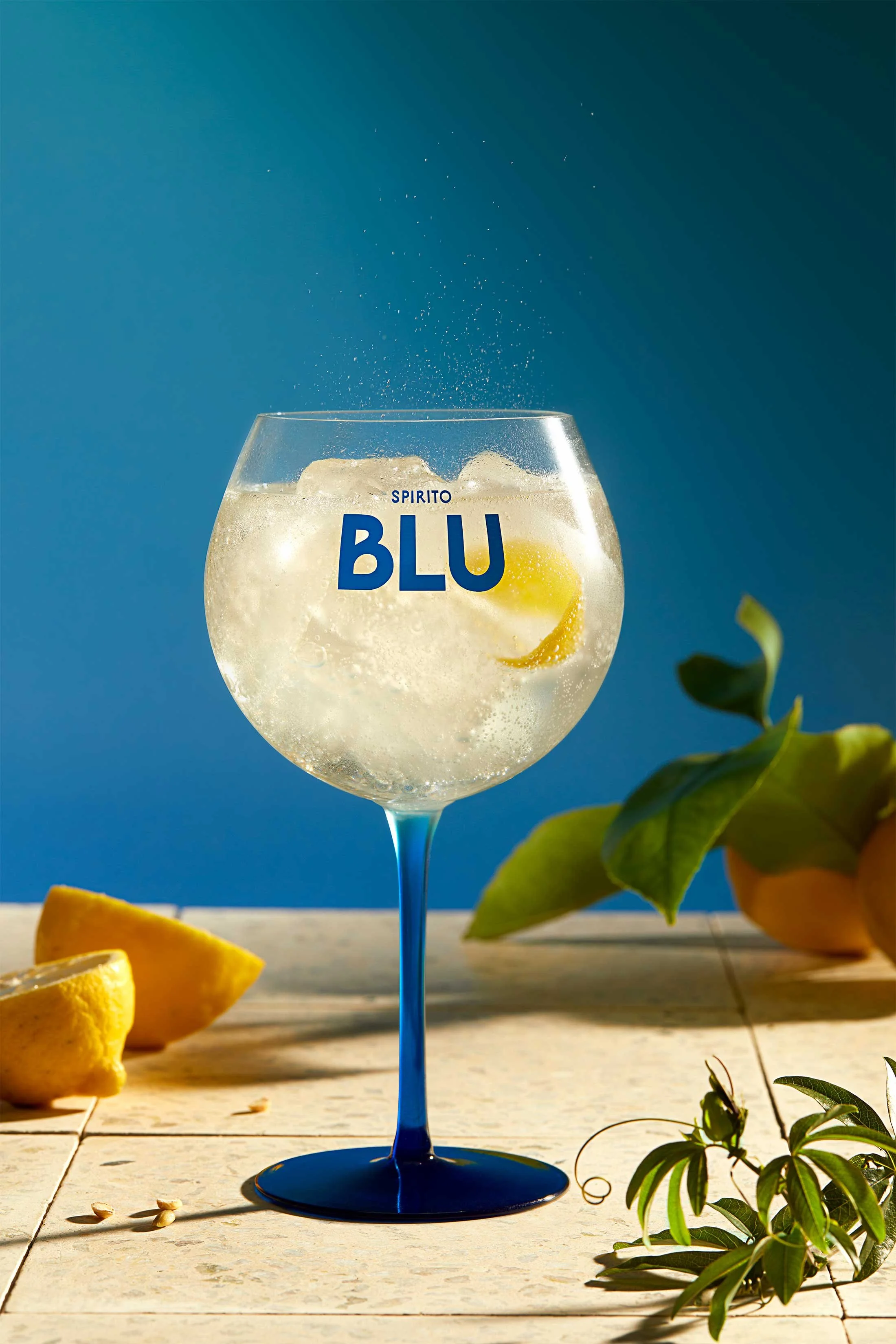 231131-BLU-6888_ok.jpg