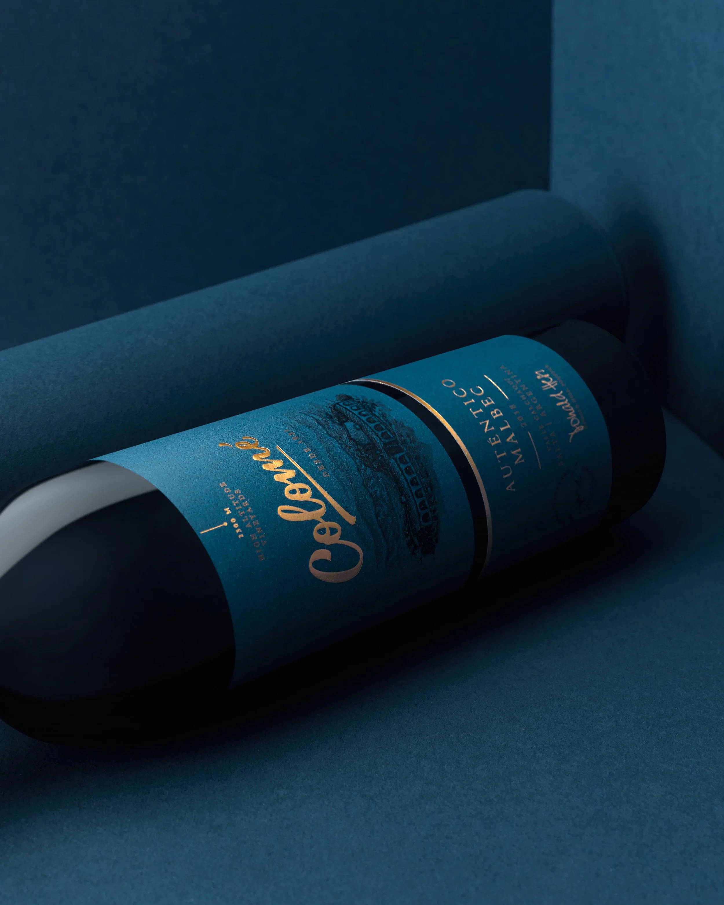 BODEGA COLOME15660 correccion 1.jpg