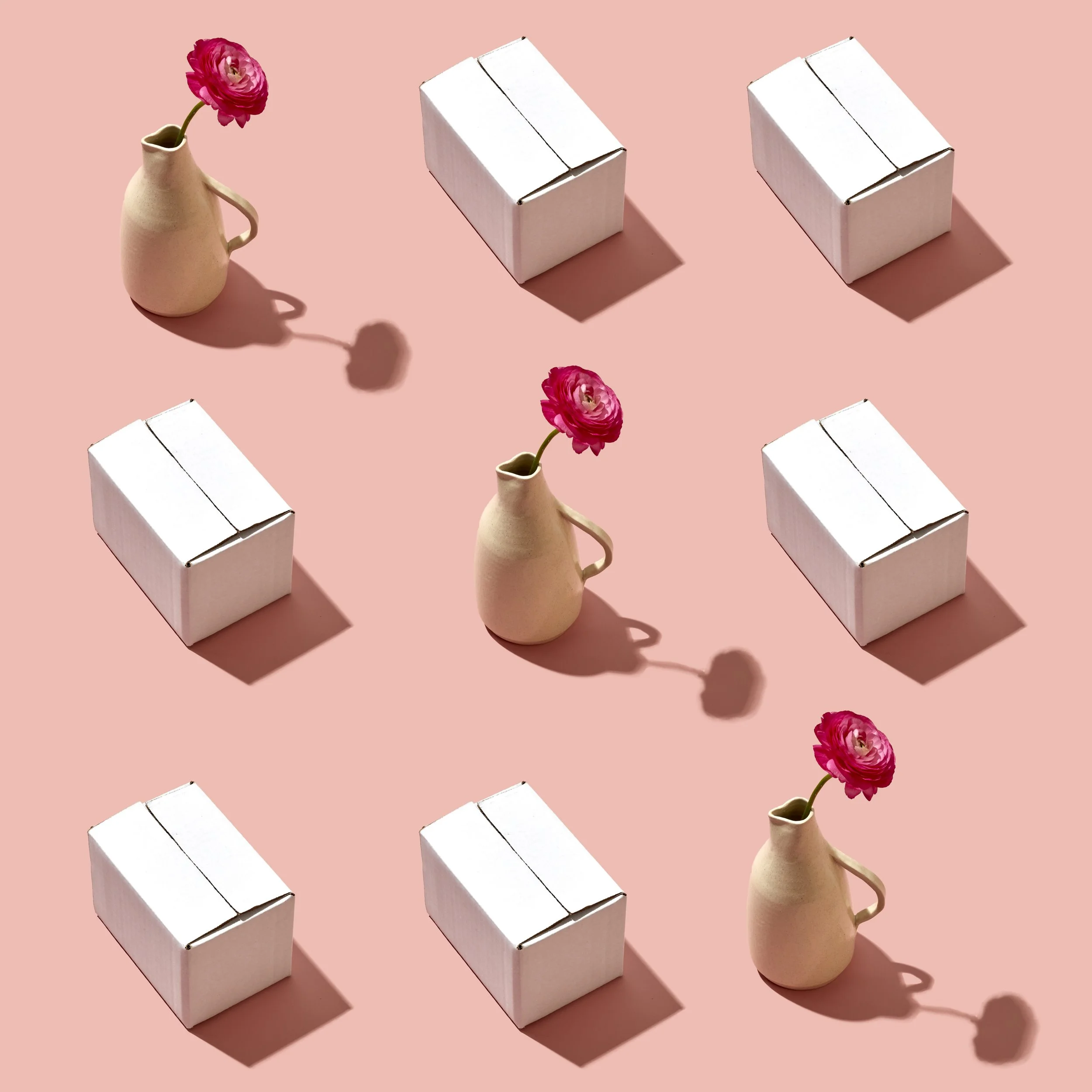 rosa.jpg