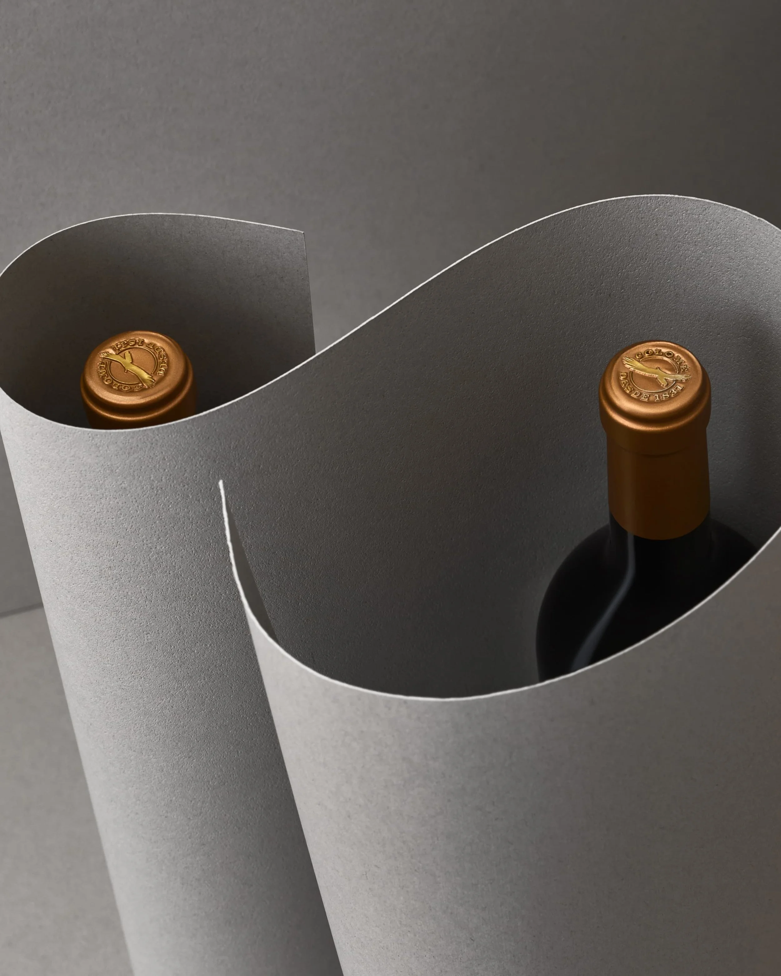 BODEGA COLOME15577 corr2.jpg