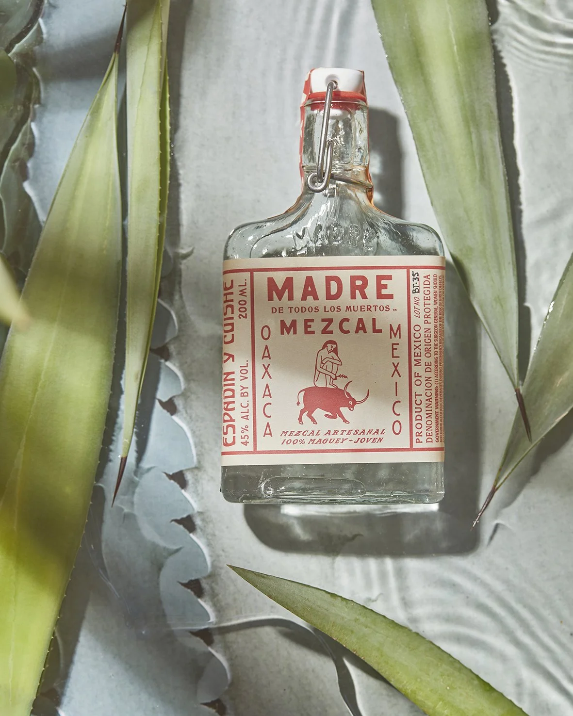MADREMEZCALCACTUSAGUA.jpg