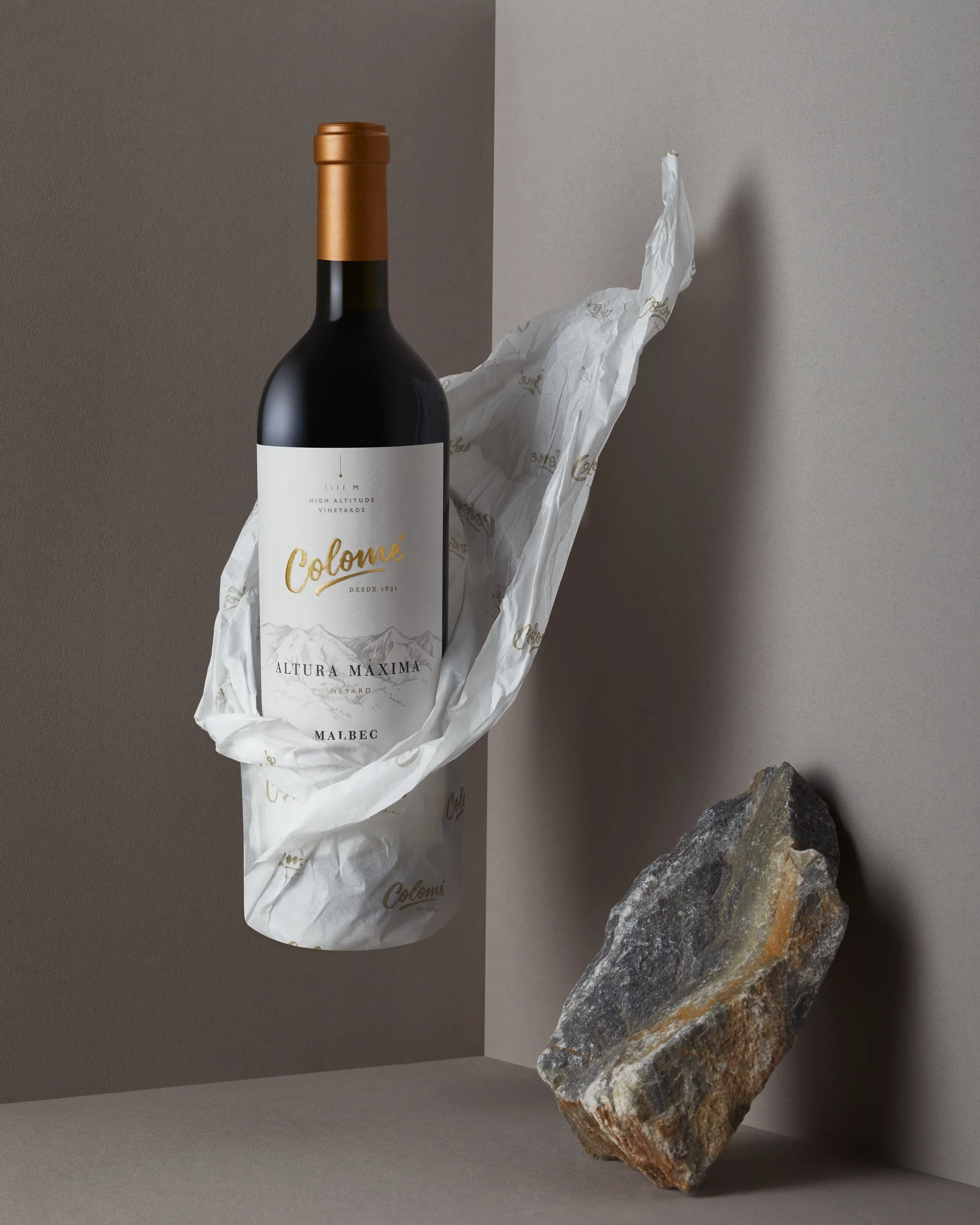 BODEGA COLOME15518.jpg