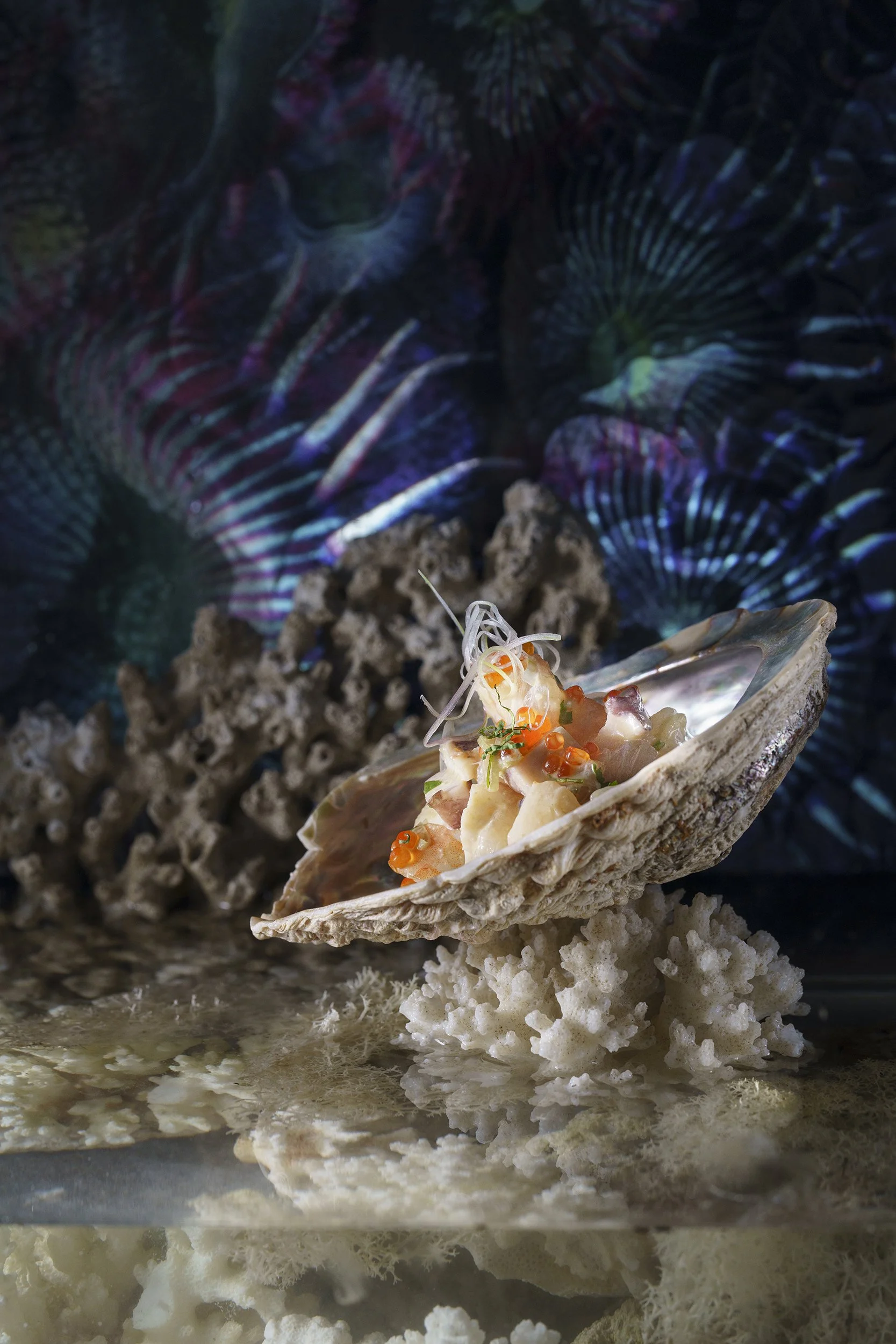DSC02337 copy.jpg