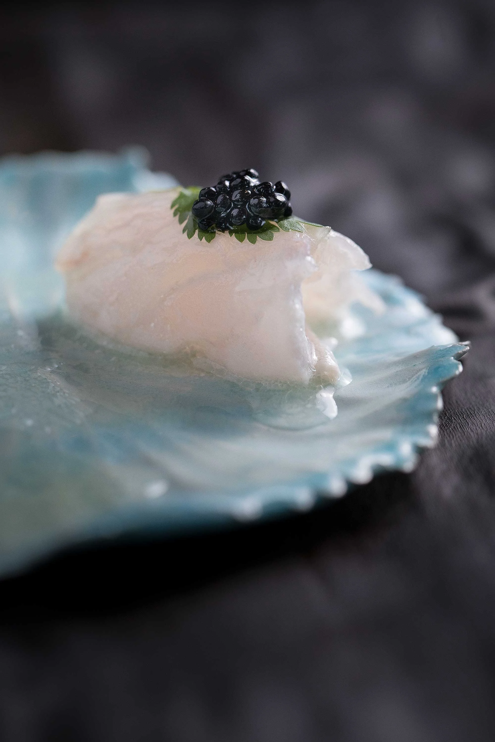 Fabric Sushi