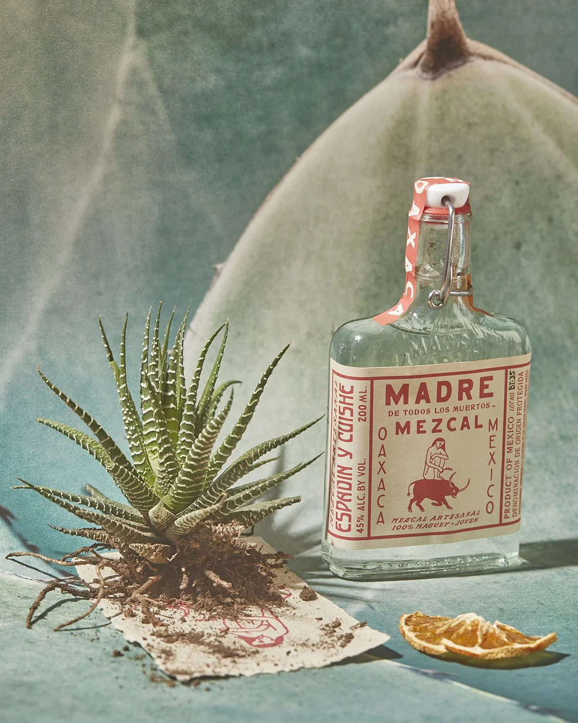 MADREMEZCALCACTUS2.jpg