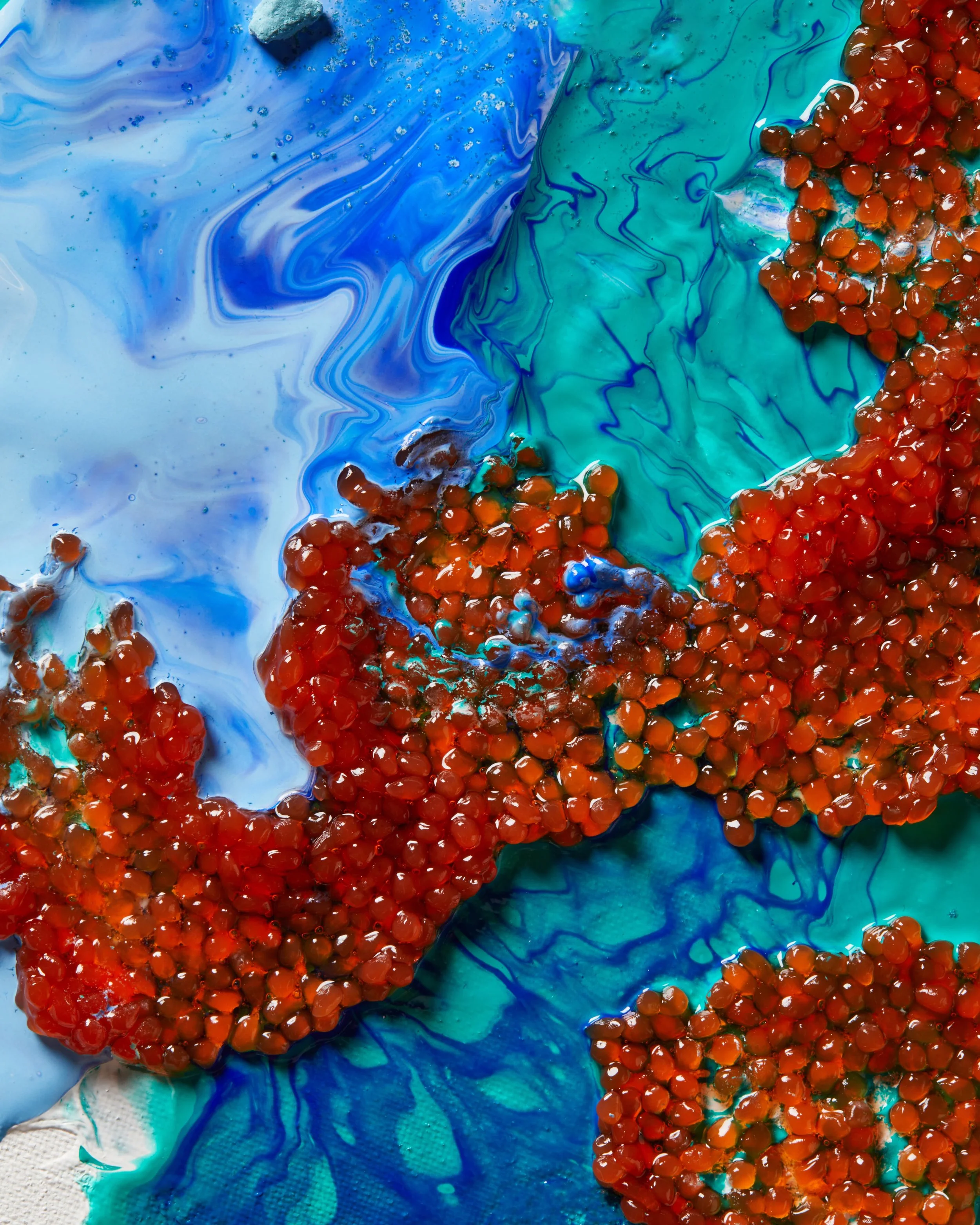 growseafood.3444.jpg
