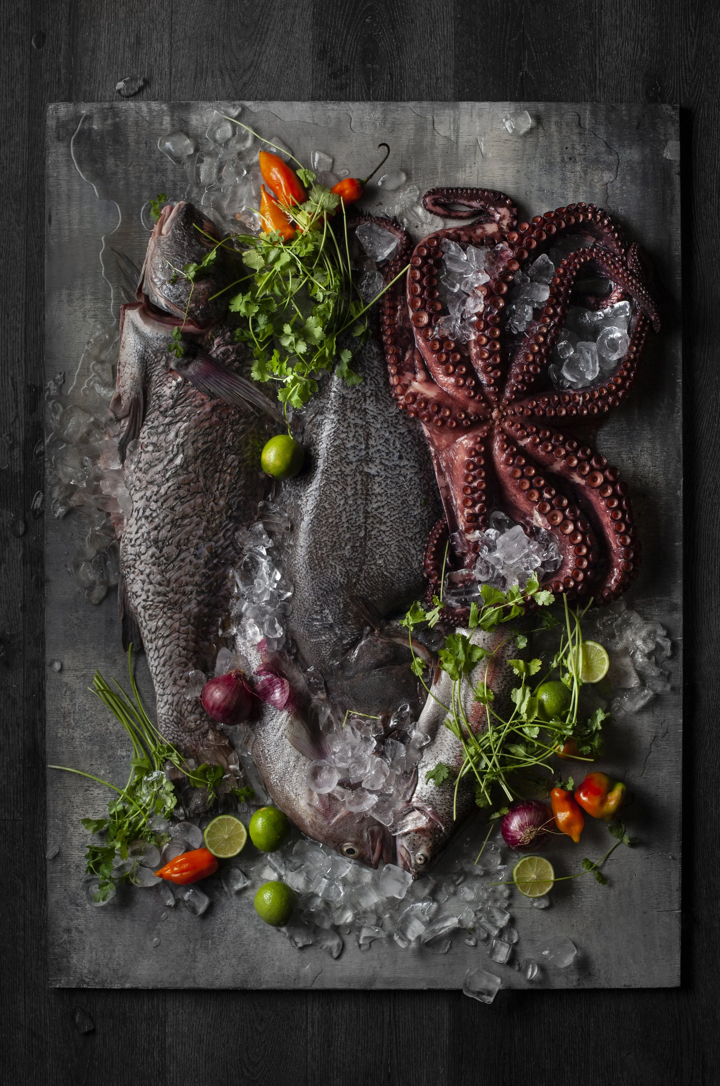 Variedad de pescados y mariscos_0468.jpg