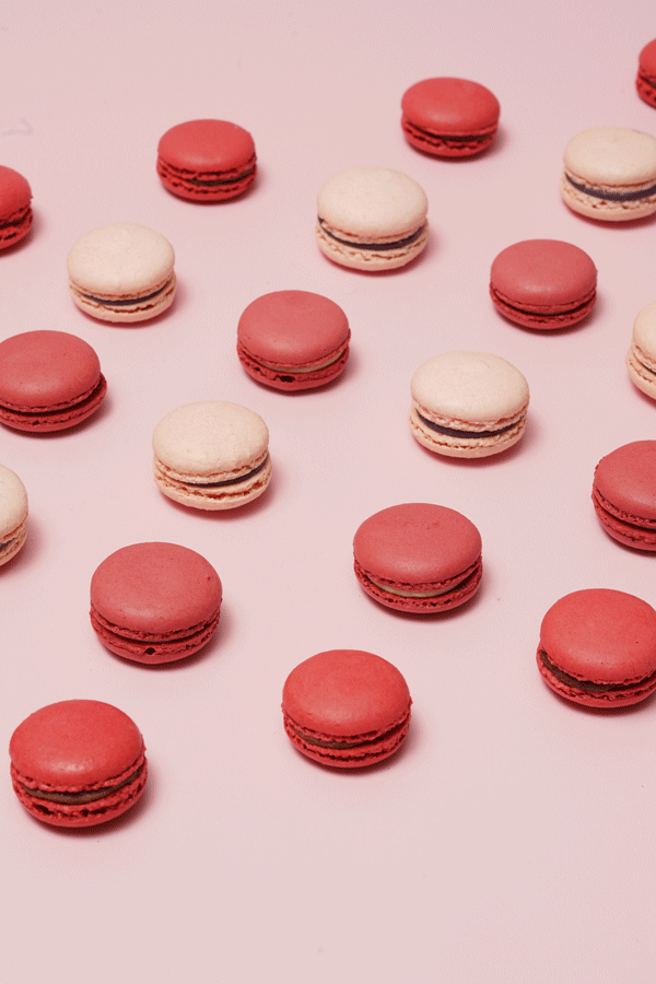 MacaronRosaDP.gif