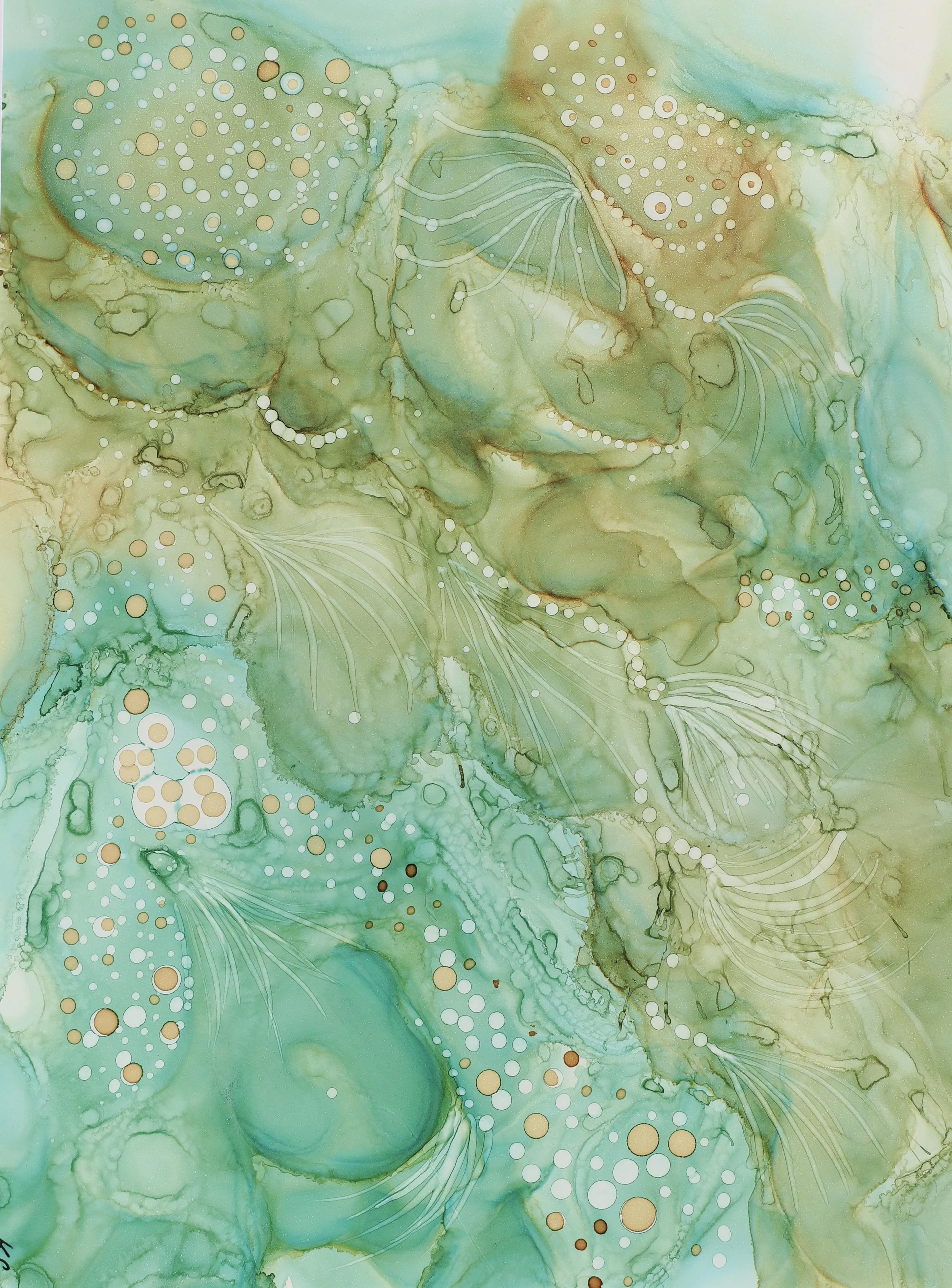 Deep Water camera version.jpg