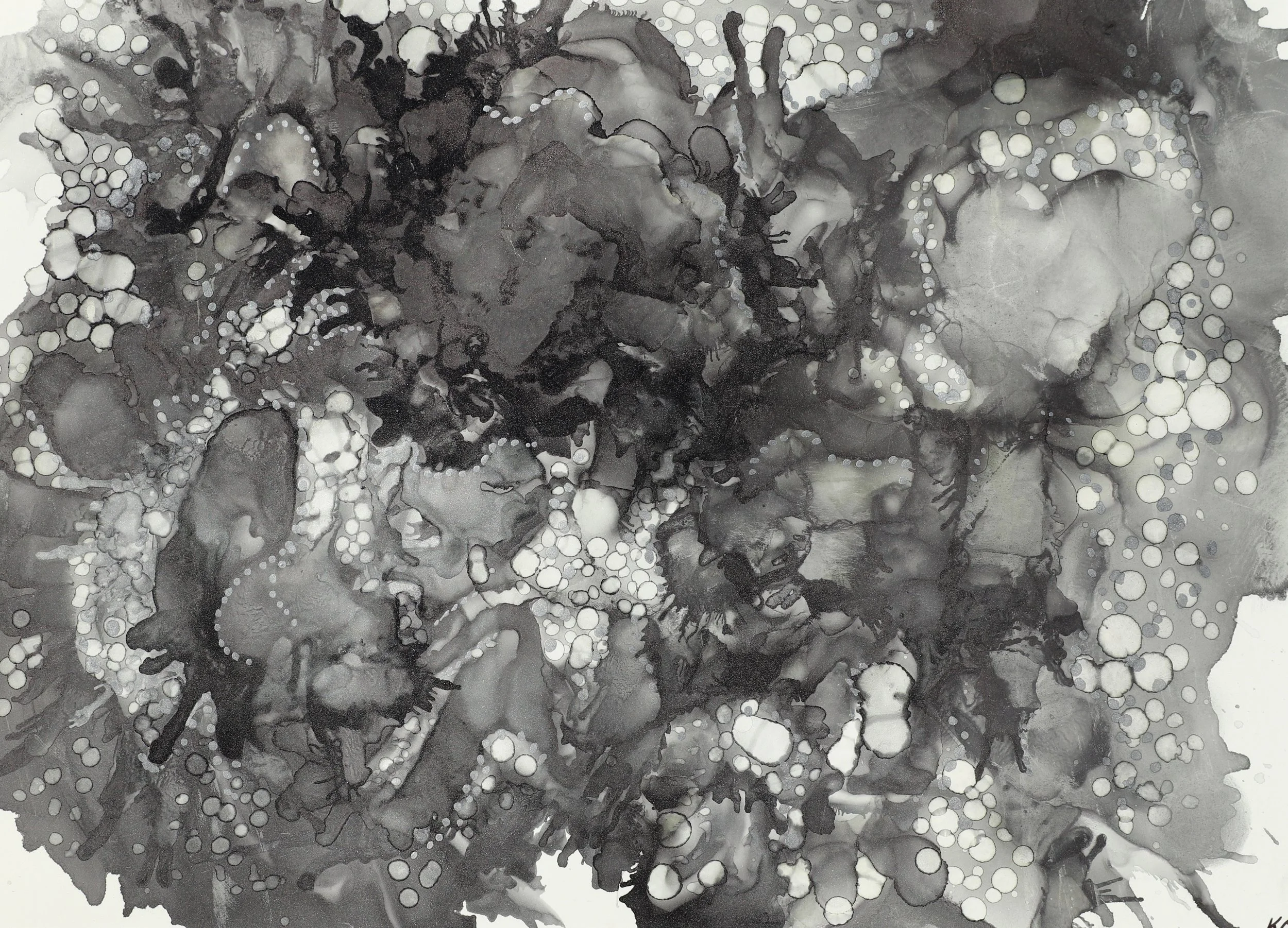 Veil of Mist camera version.jpg