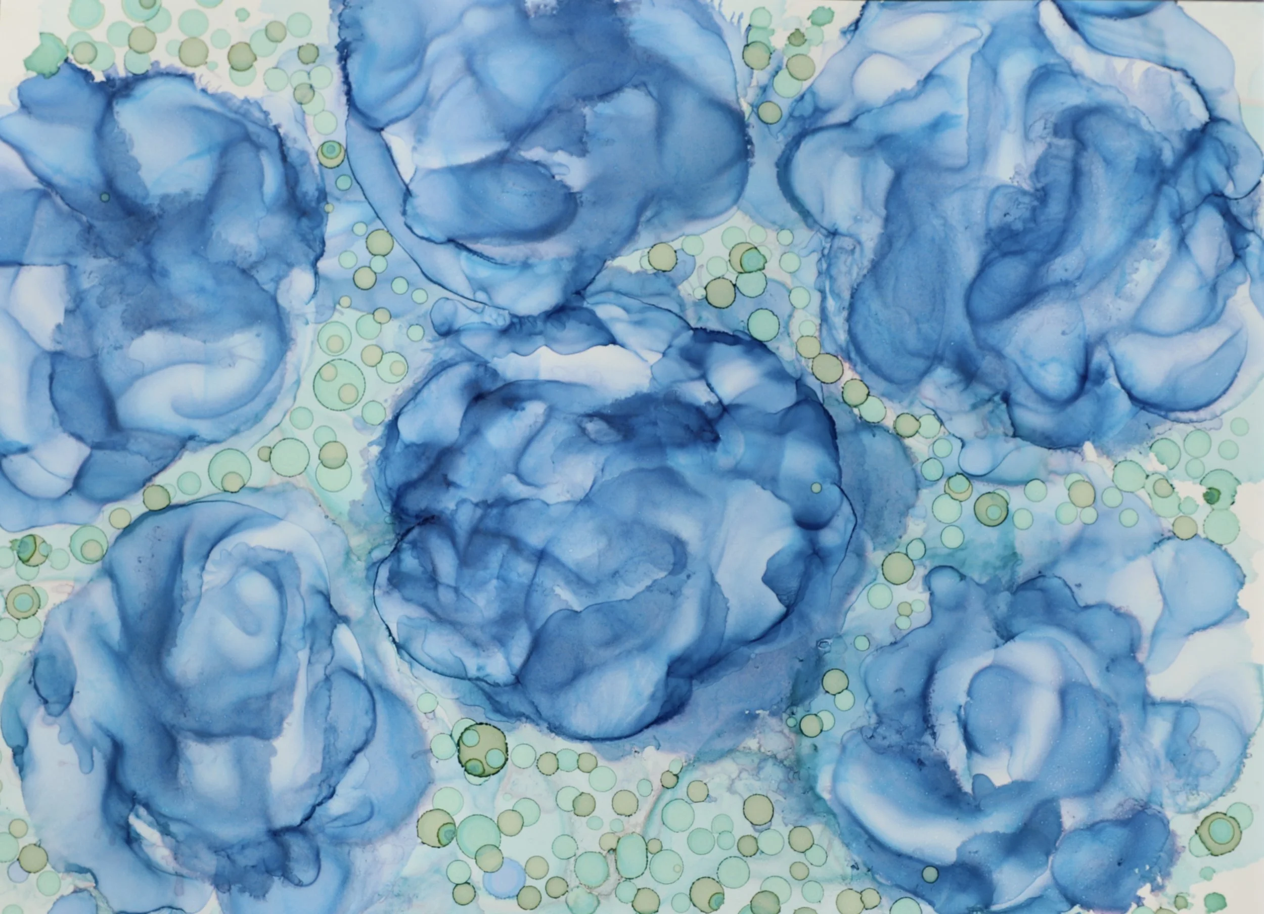 blue harmony camera version.jpg