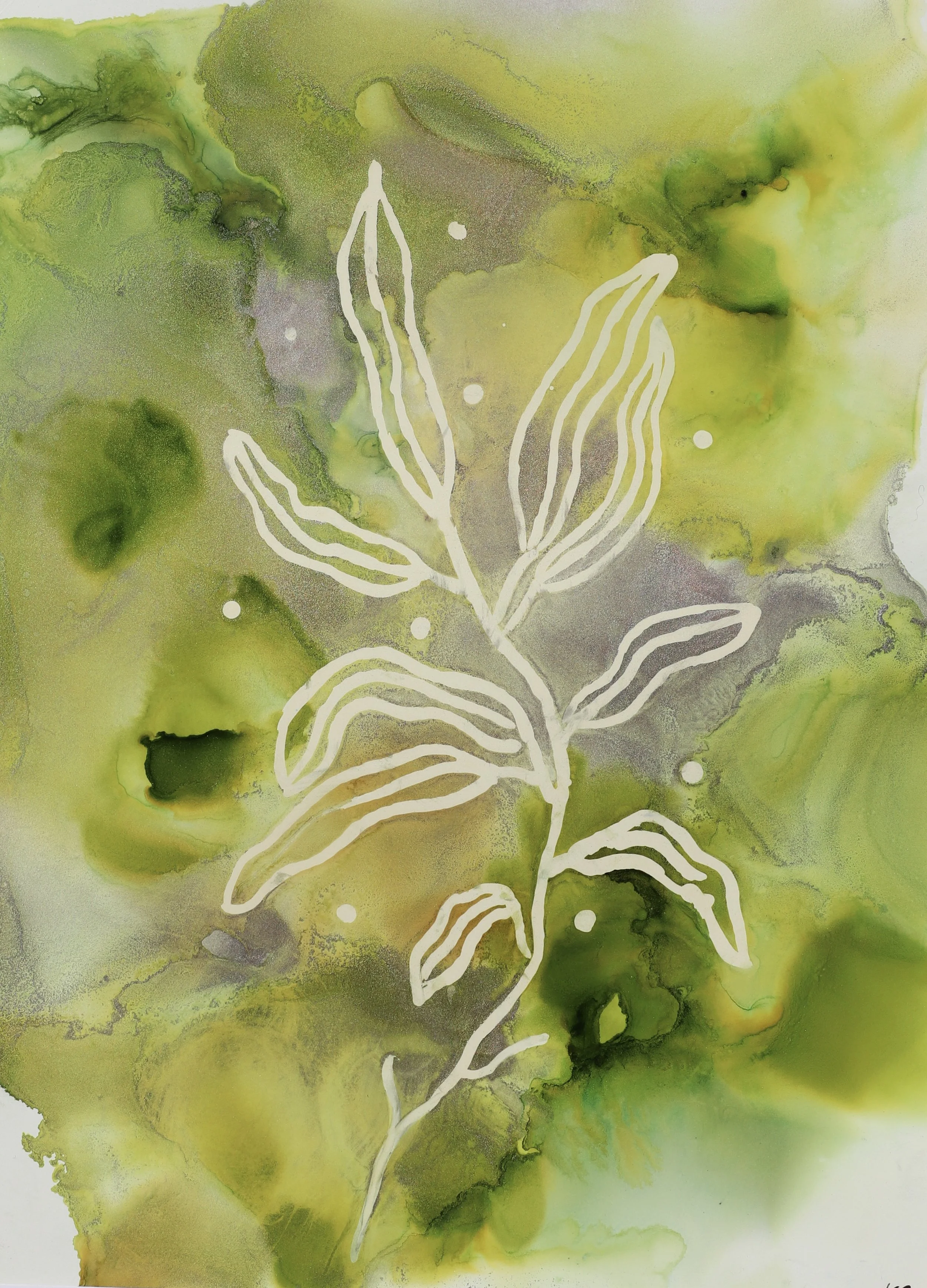 Growth Camera version.jpg