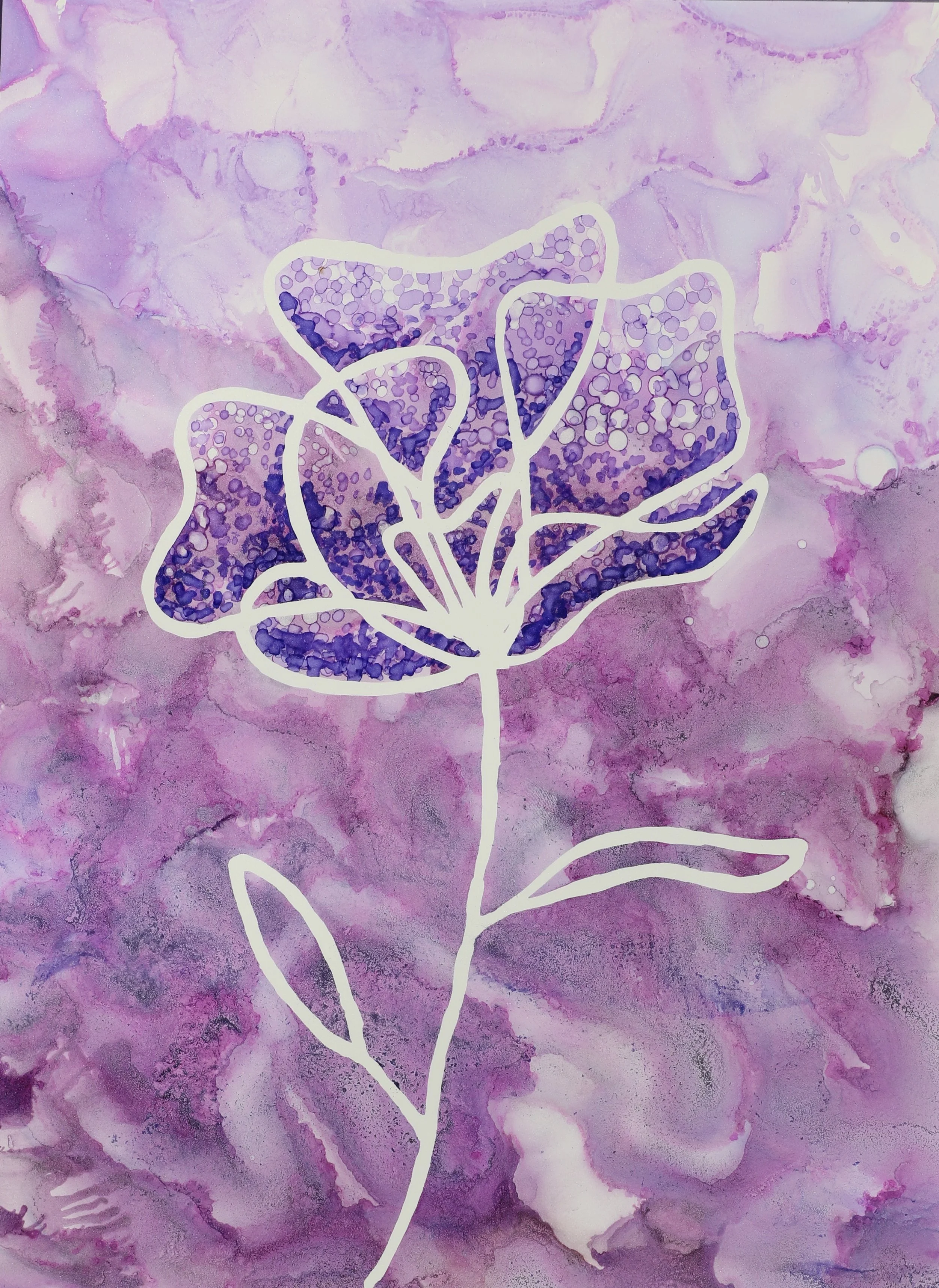 Beyond the bloom camera version.jpg