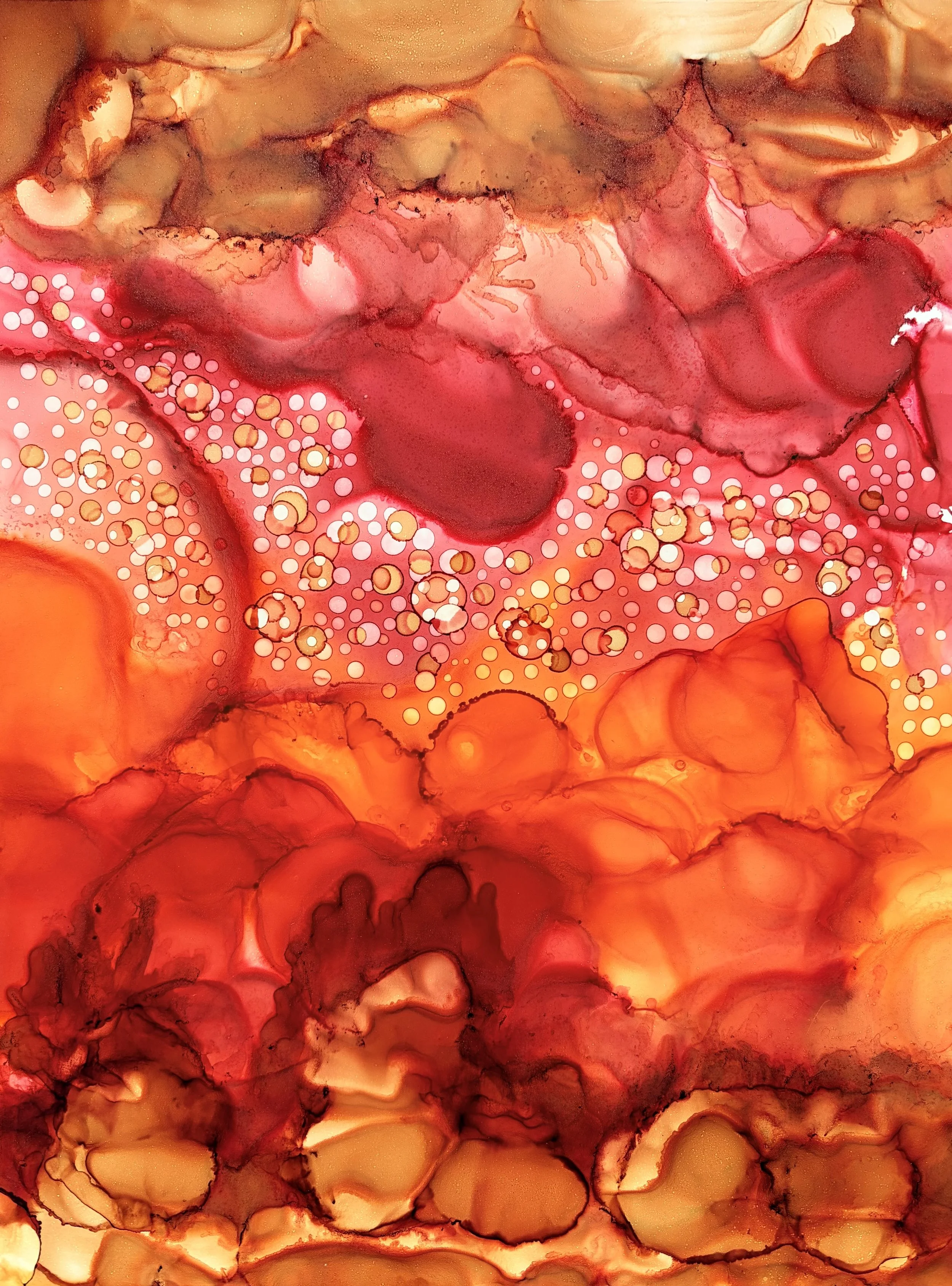 Amber Waves Final.jpeg