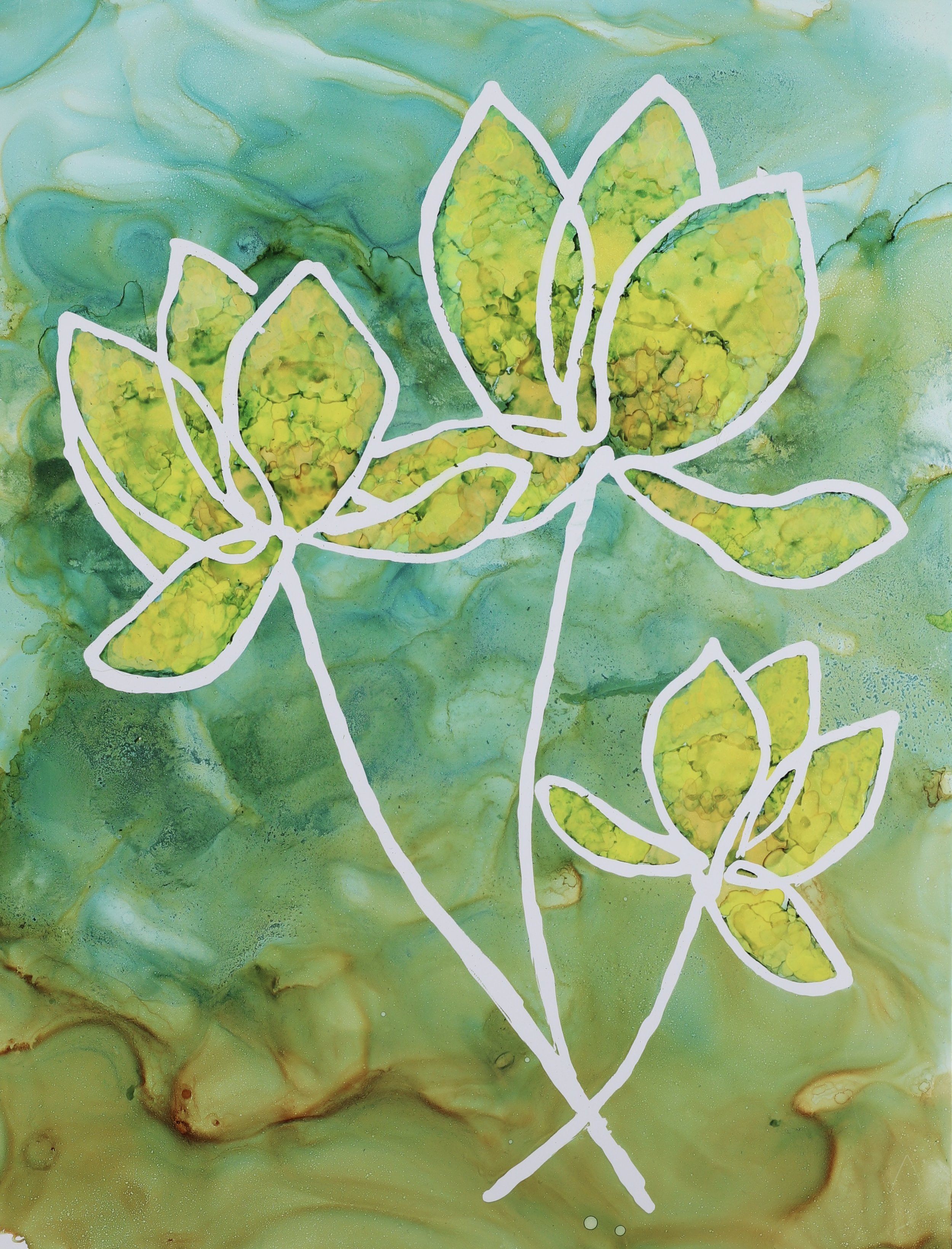 Harmony in Green camera.jpg