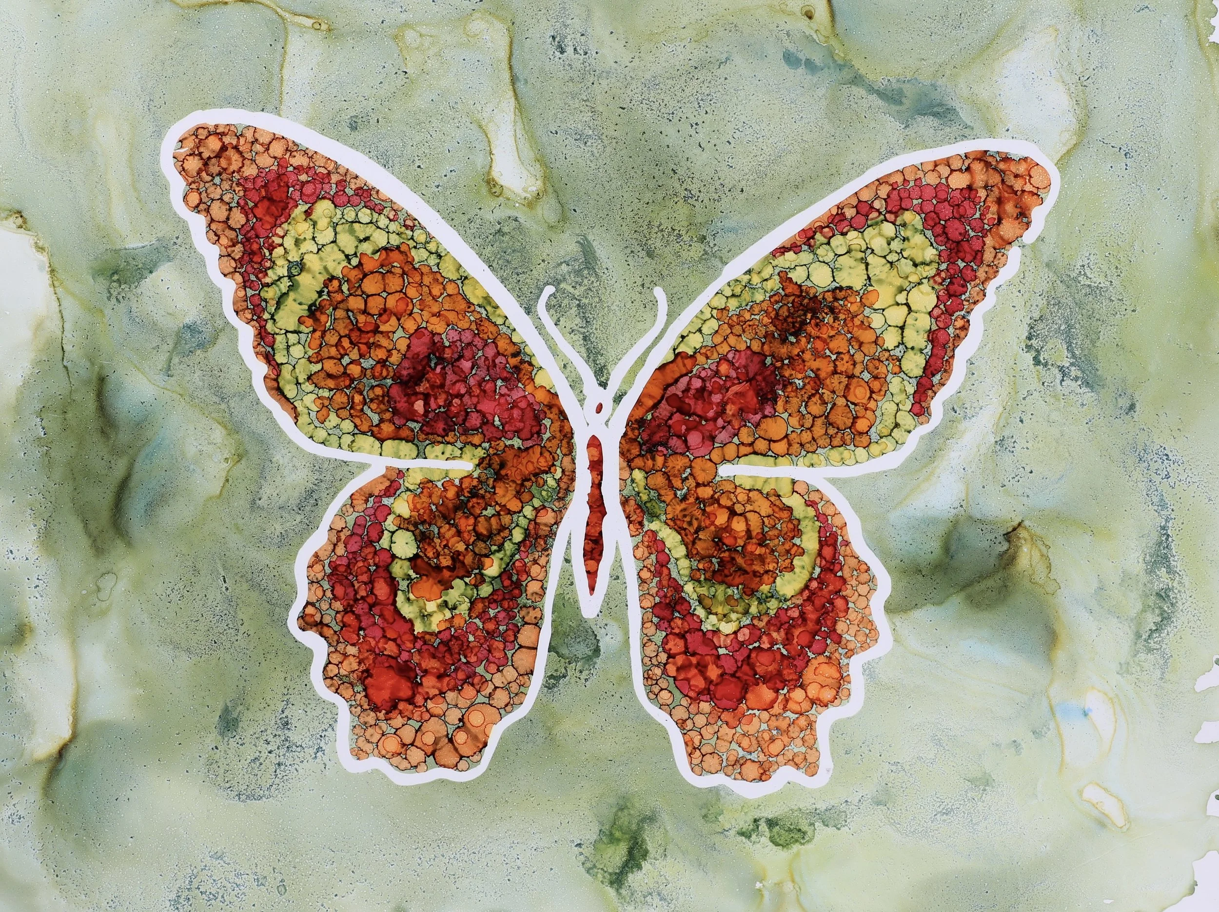 Winged Mosaic camera.jpg