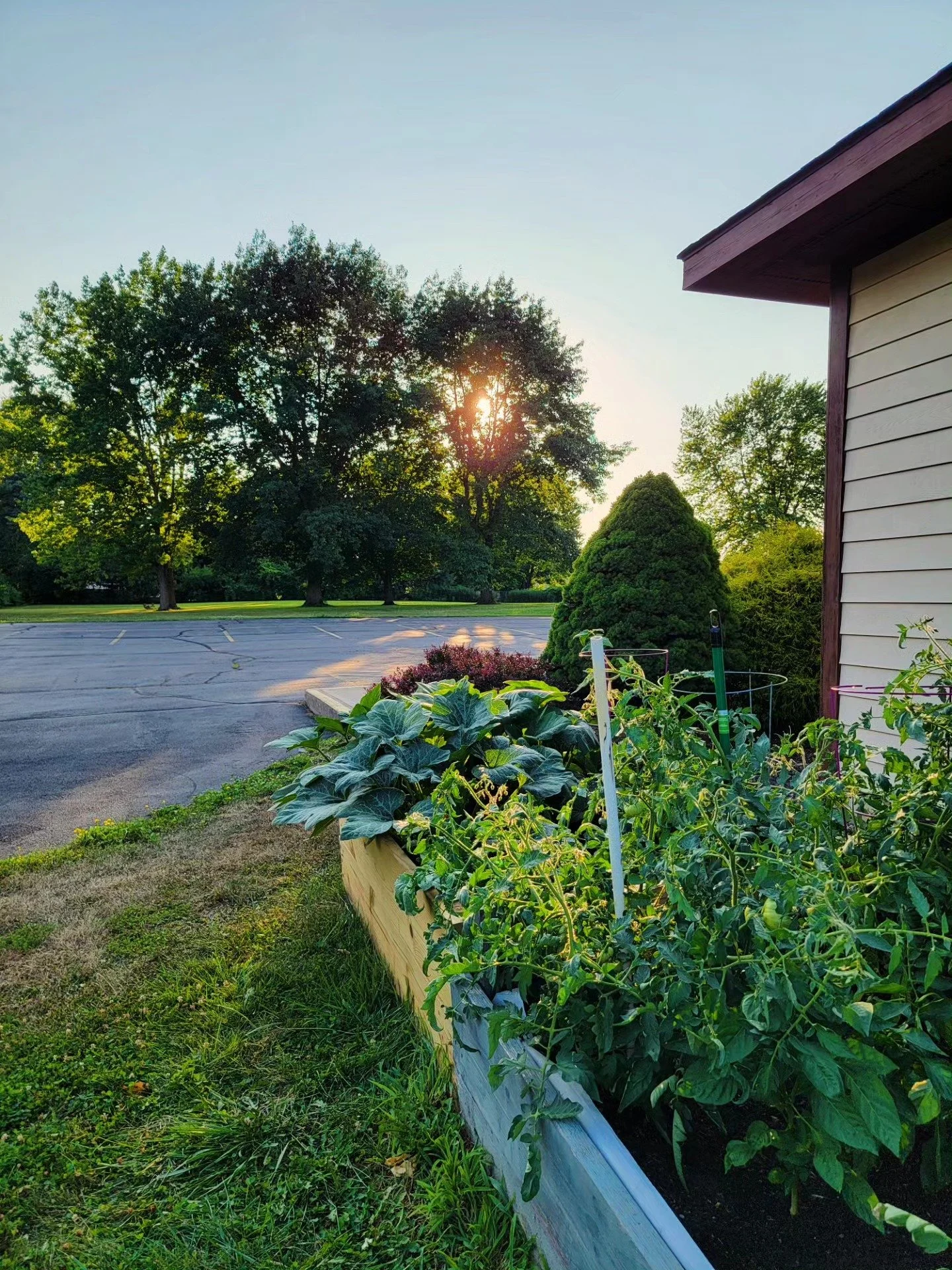 A beautiful summer evening at the church garden.