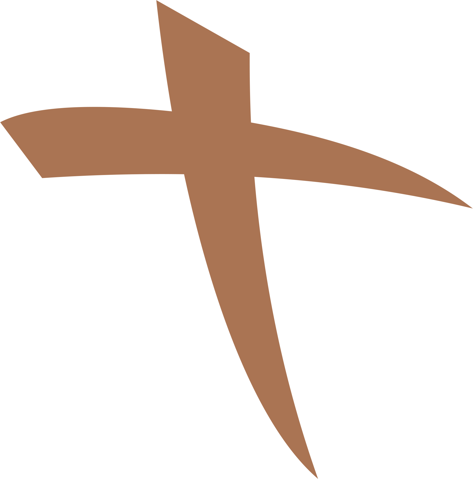 A stylized illustration of a brown elongated star with curving points on a black background.