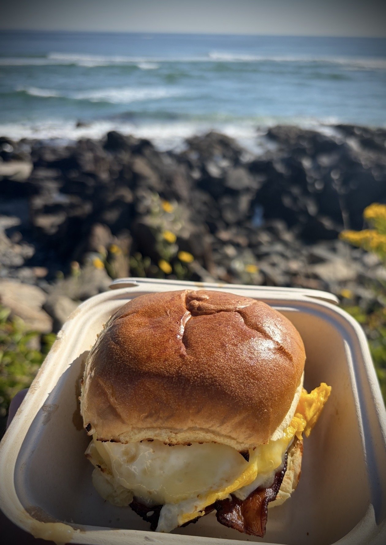 Backyard Coffee &amp; Eatery, Ogunquit, ME