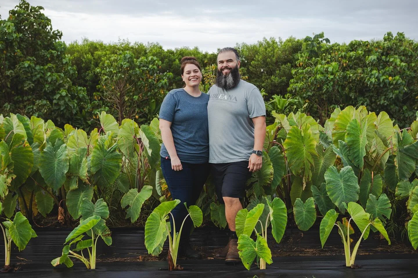 Happy Lau Farms was born in 2024 with a clear mission: to prove that farming doesn&rsquo;t have to rely on expensive, synthetic systems. 🌱 

We&rsquo;re returning to ancient wisdom to build a food-sovereign future for Maui. 

🚫No synthetic fertiliz