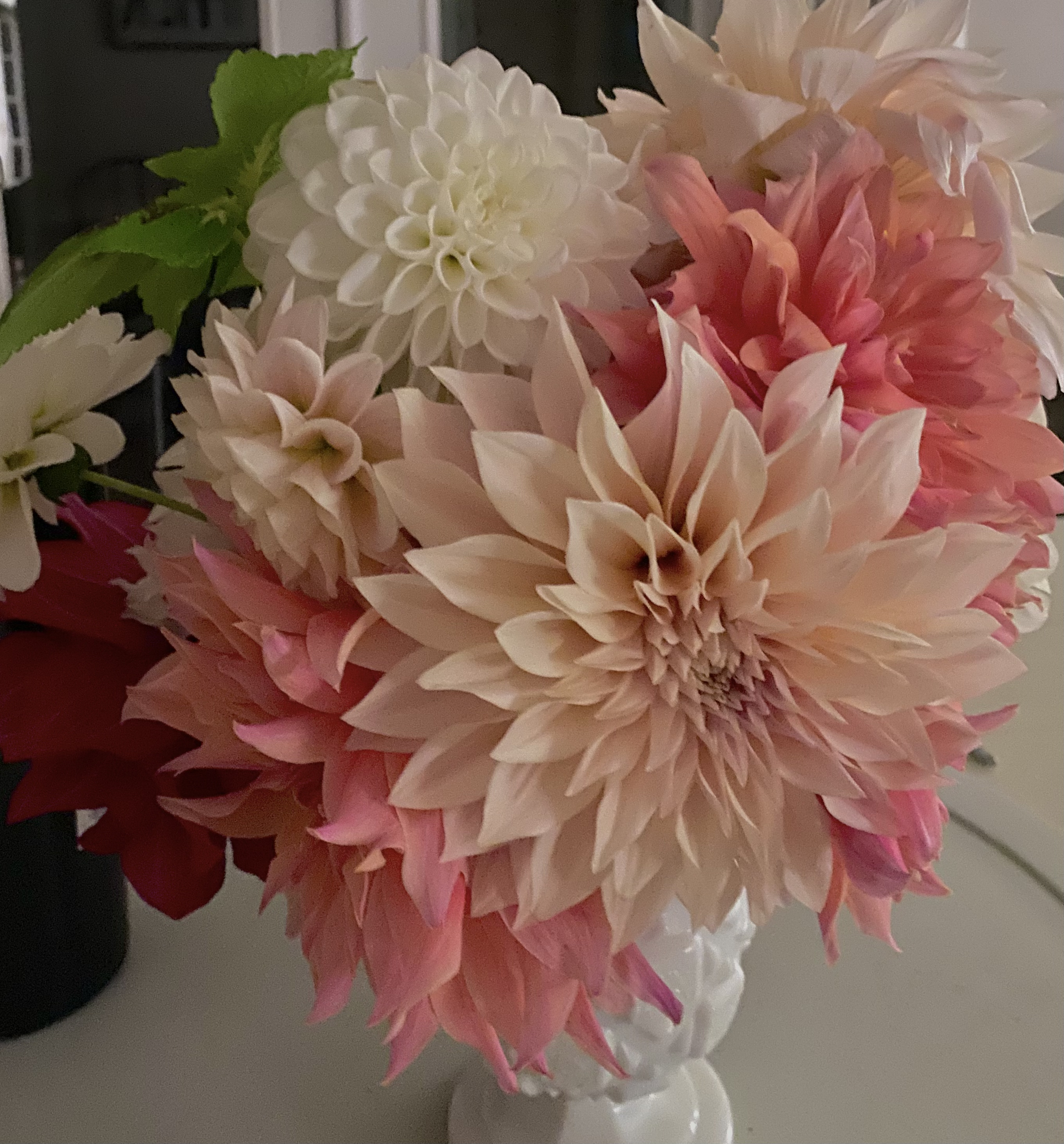 A bouquet of large, colorful dahlias in white, pink, and blush, arranged in a white vase.