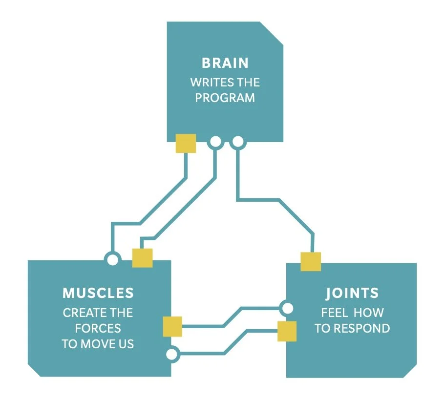 The Power of Proprioception: Feeling Movement