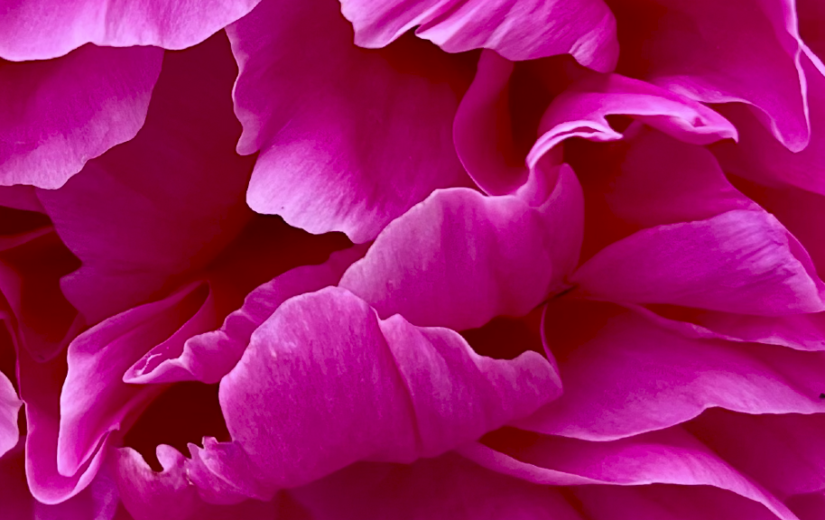 Screen Shot 2025-09-09 at 8.23.21 PM.png