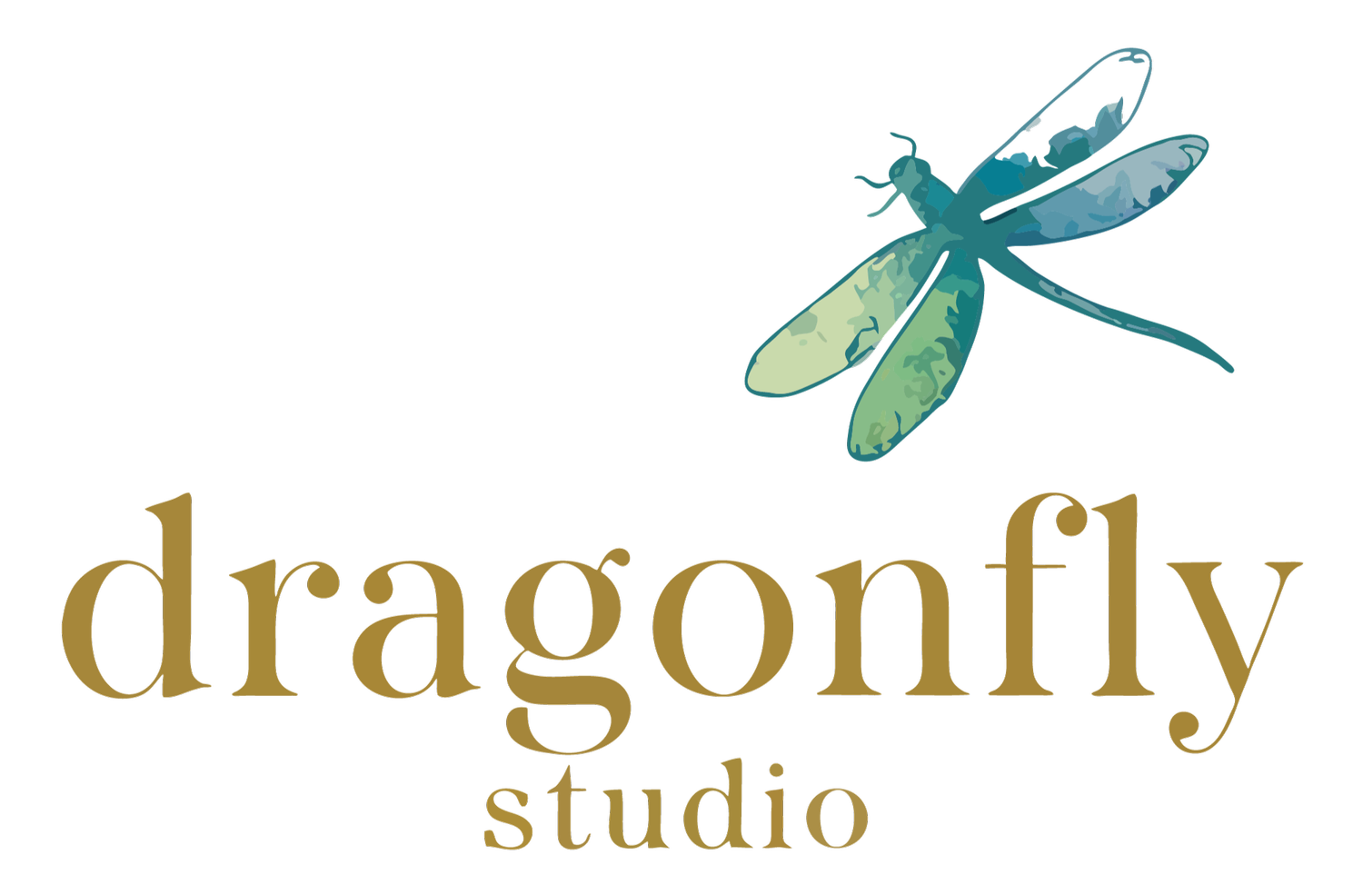 Dragonfly Studio