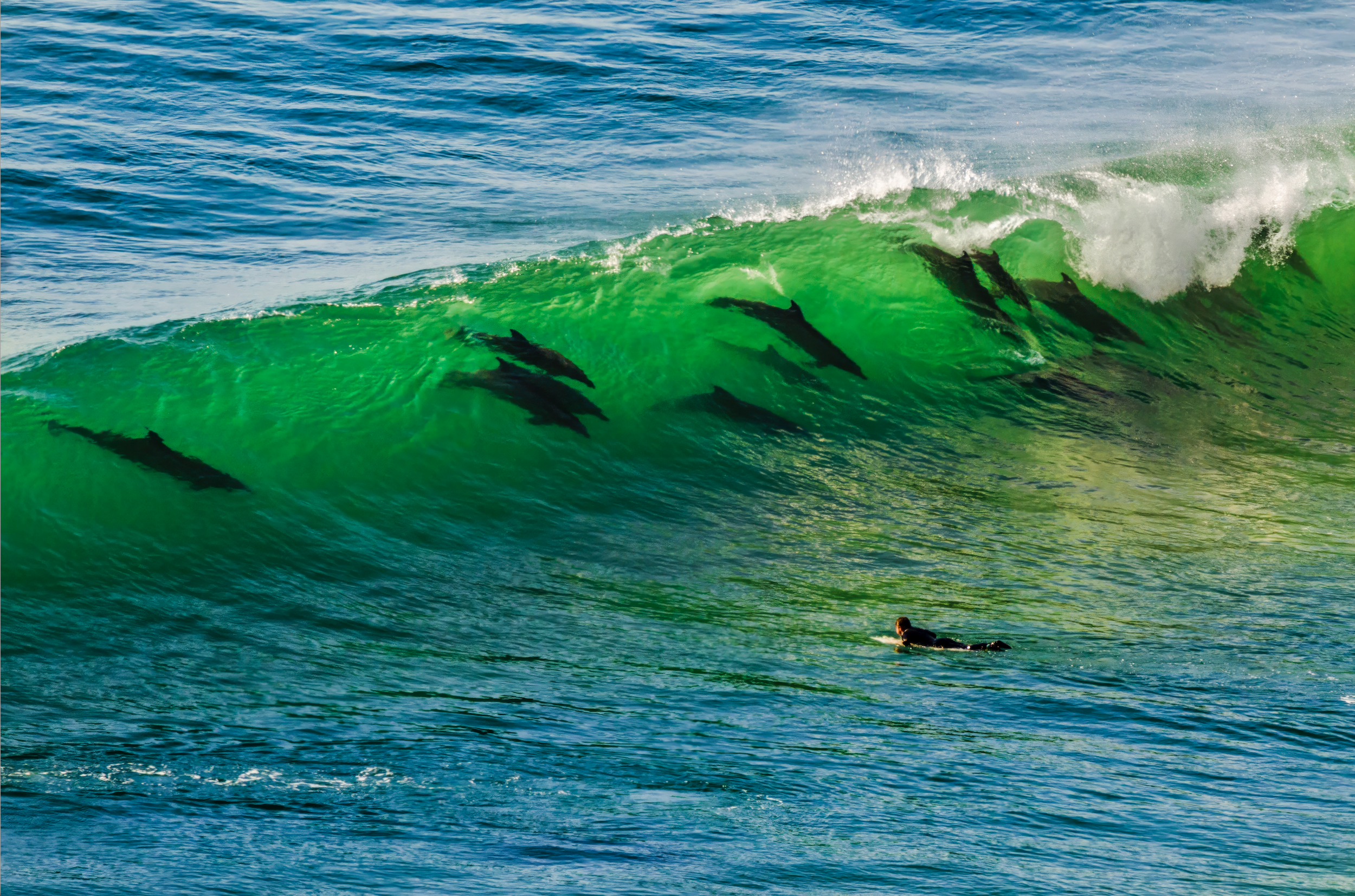 Screenshot 2025-01-07 at 6.49.32 PM.png