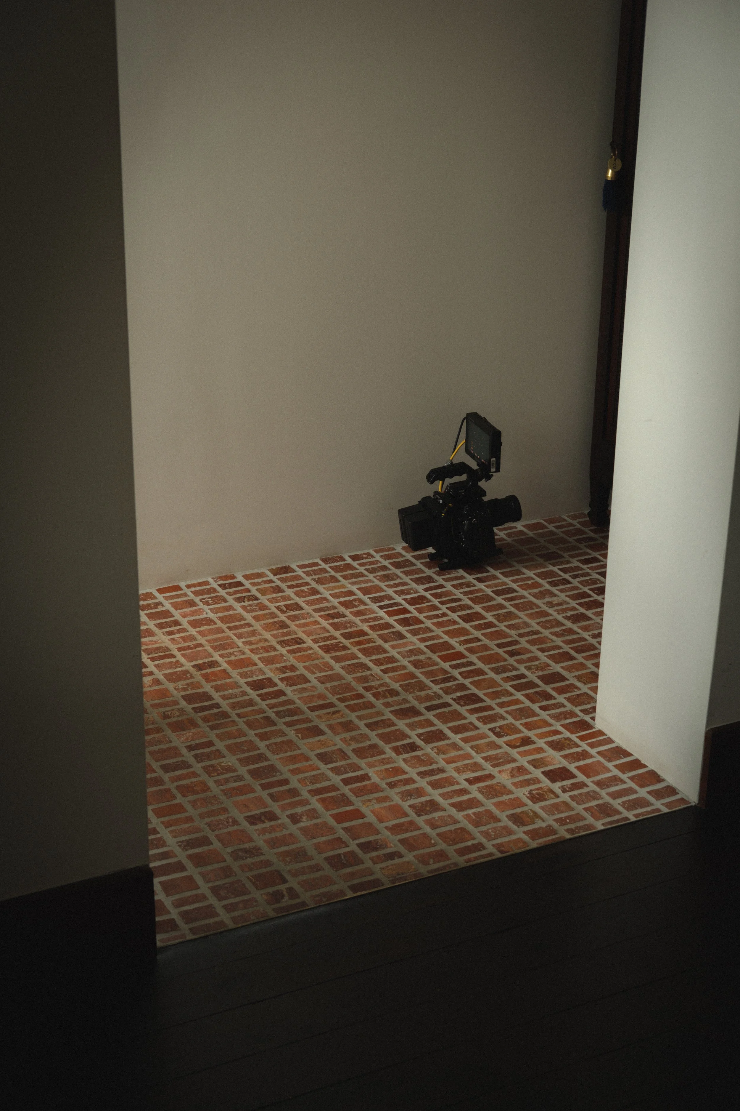 DSCF6195.jpg