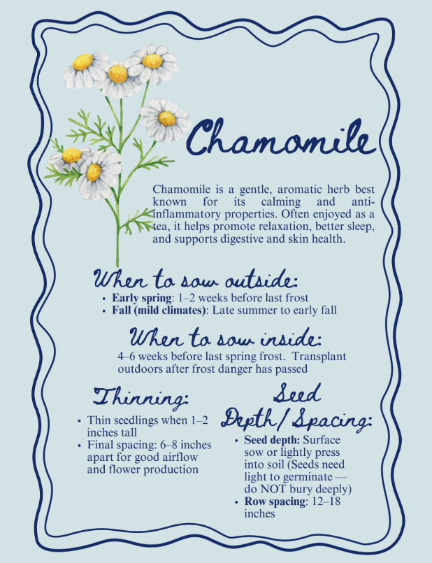 Chamomile.png