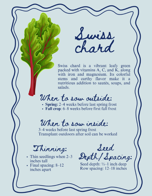 Swiss Chard.png
