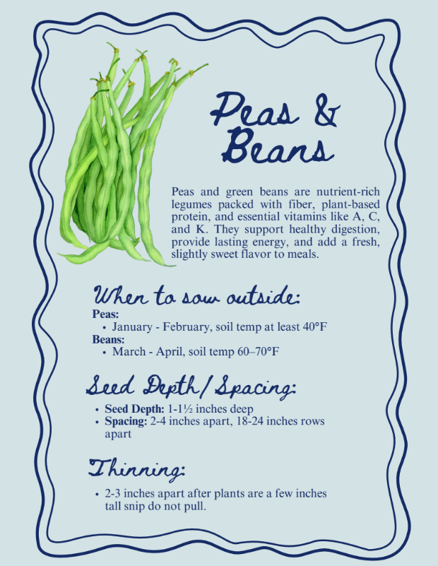 Peas & Beans.png