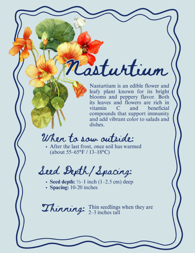 Nasturtium.png