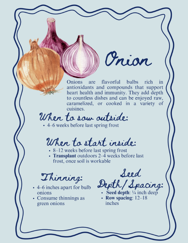 Onion.png