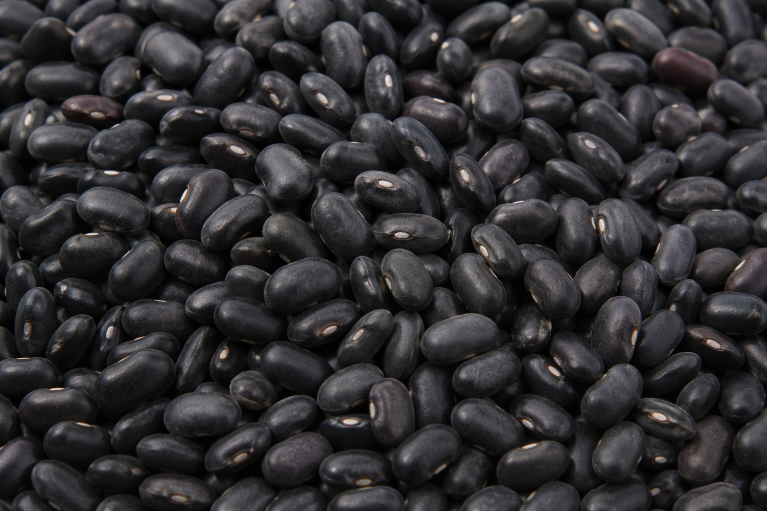 How to Cook Dried Black Beans 