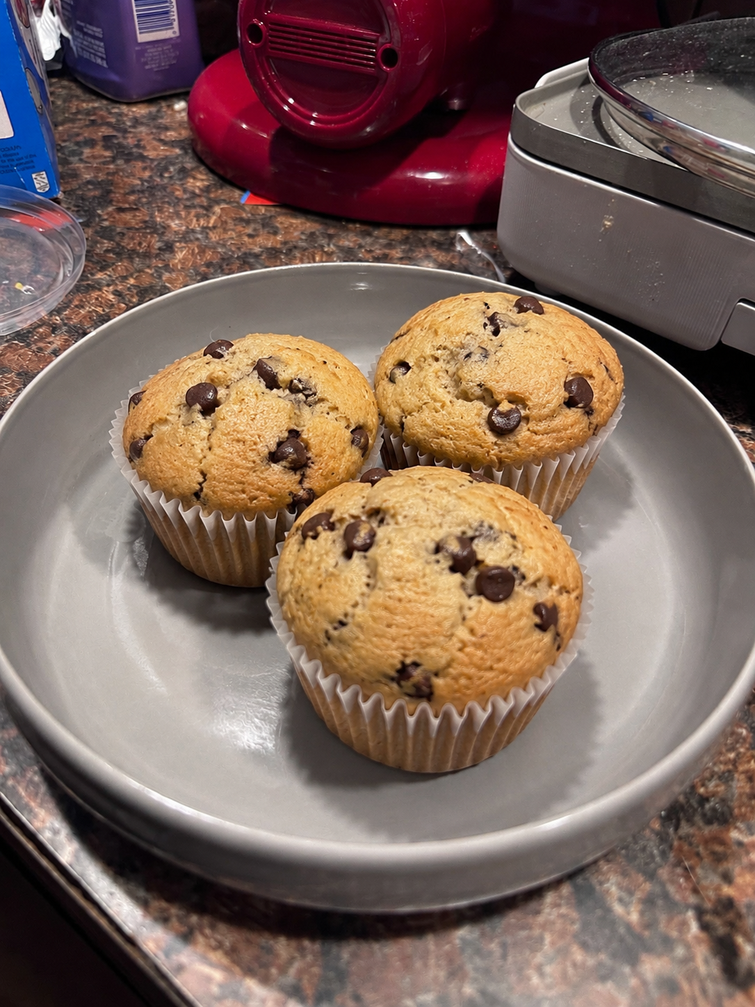 Chocolate Chip Protein Muffins